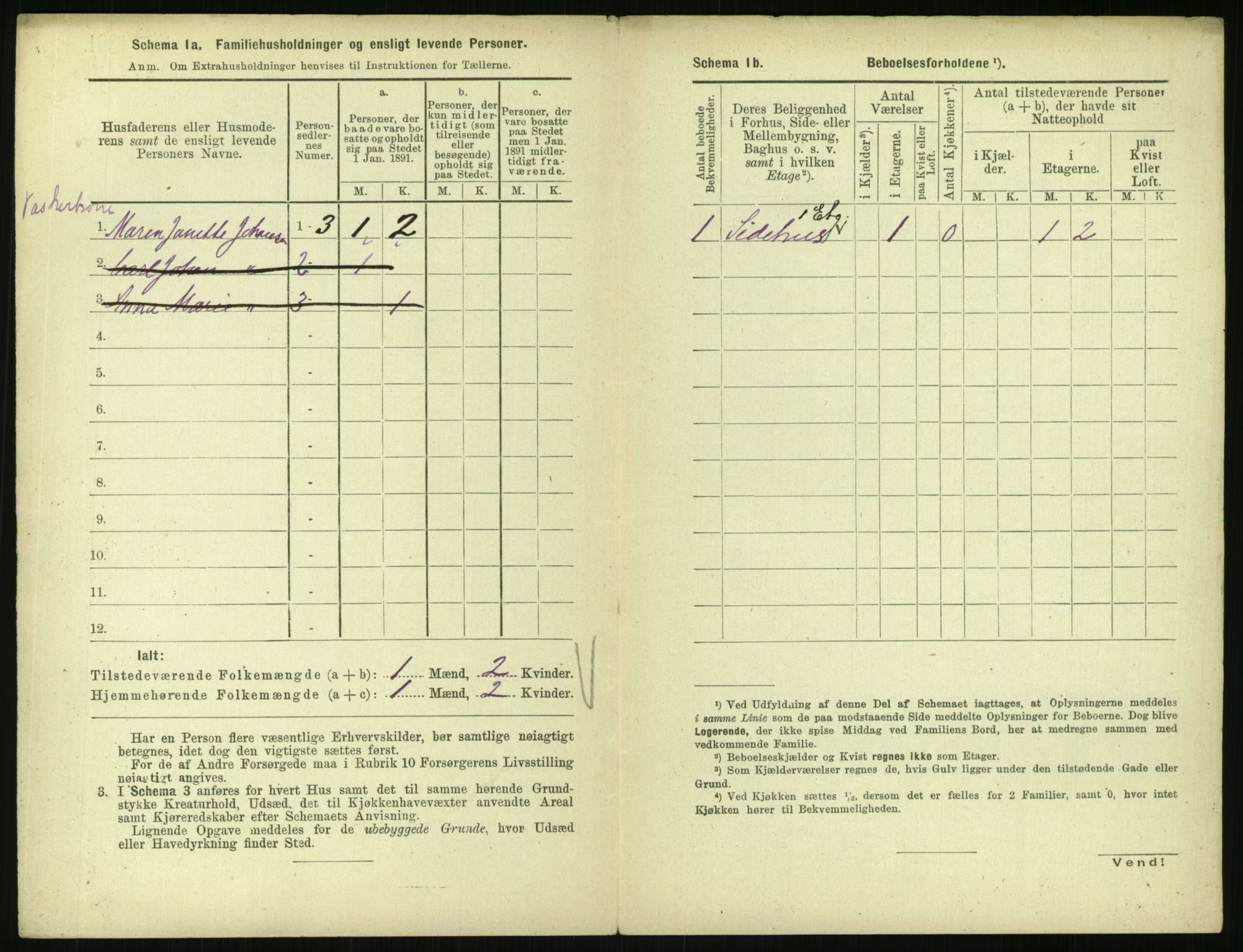 RA, 1891 census for 0301 Kristiania, 1891, p. 3321