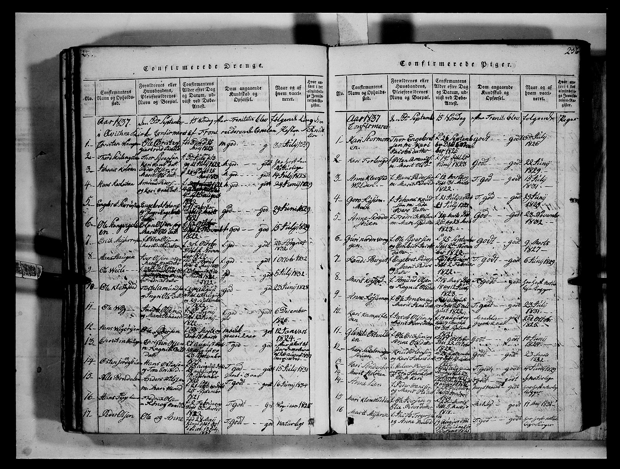 Fron prestekontor, SAH/PREST-078/H/Ha/Hab/L0002: Parish register (copy) no. 2, 1816-1850, p. 256