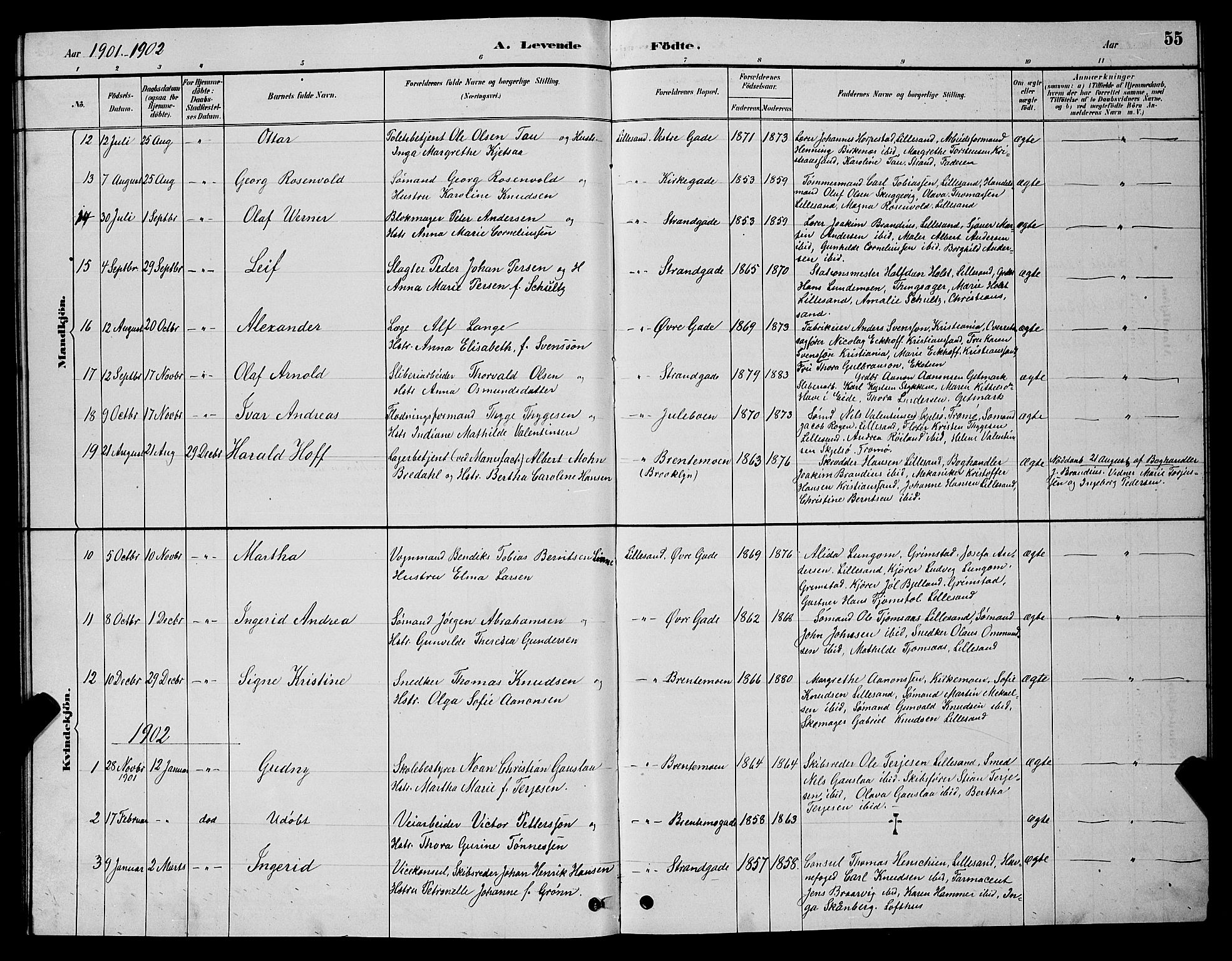 Vestre Moland sokneprestkontor, SAK/1111-0046/F/Fb/Fba/L0001: Parish register (copy) no. B 1, 1884-1903, p. 55