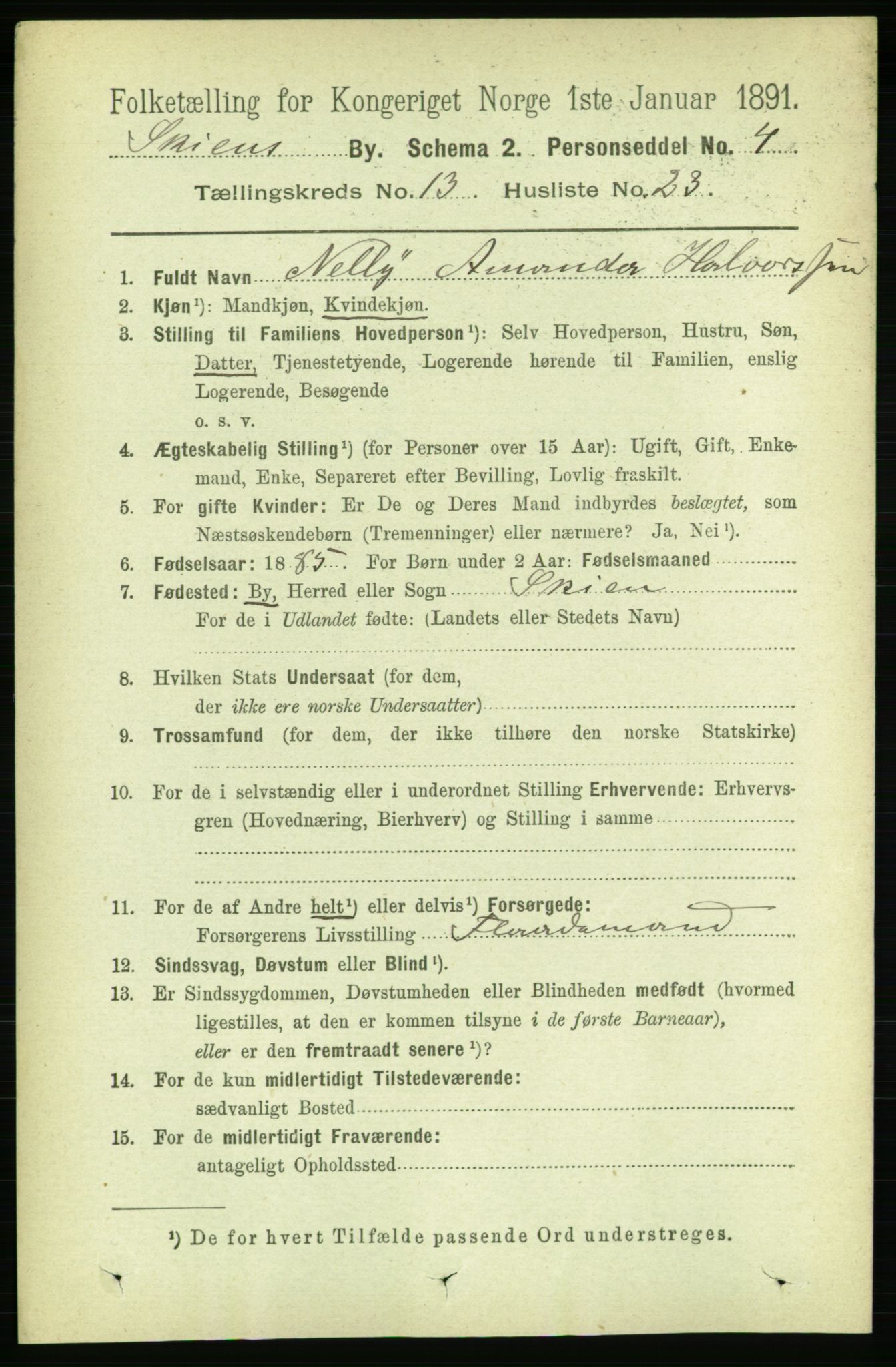 RA, 1891 census for 0806 Skien, 1891, p. 4264