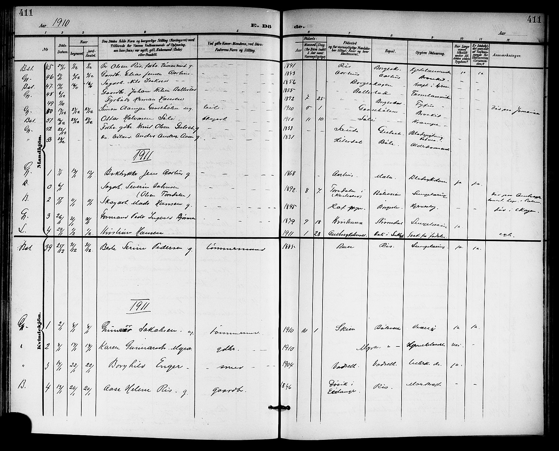 Gjerpen kirkebøker, SAKO/A-265/G/Ga/L0003: Parish register (copy) no. I 3, 1901-1919, p. 411