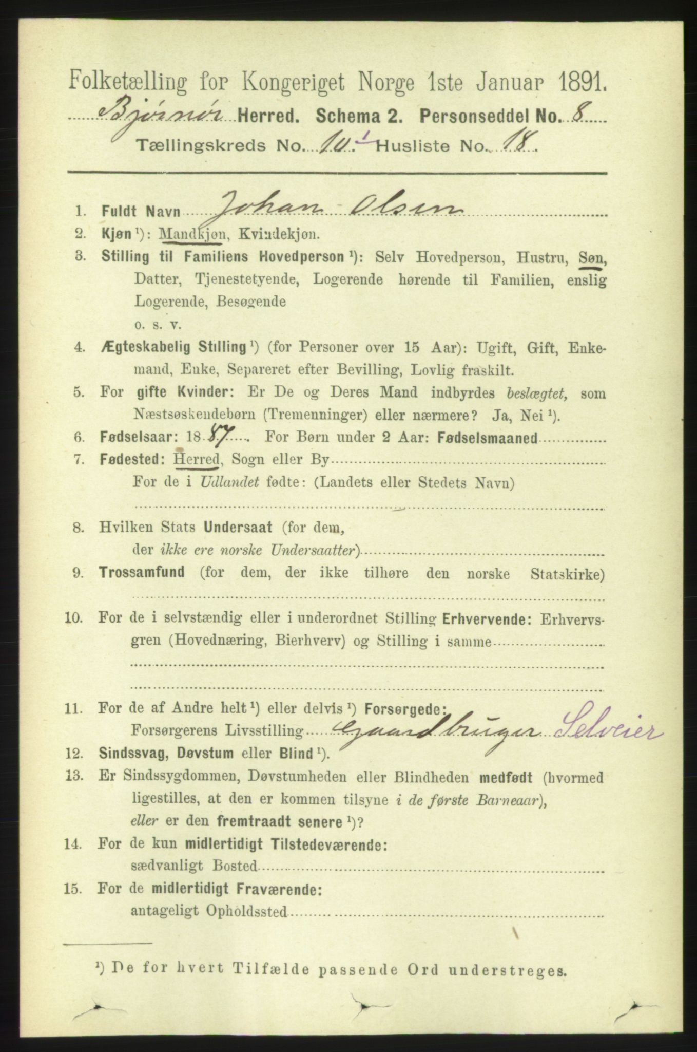 RA, 1891 census for 1632 Bjørnør, 1891, p. 4251