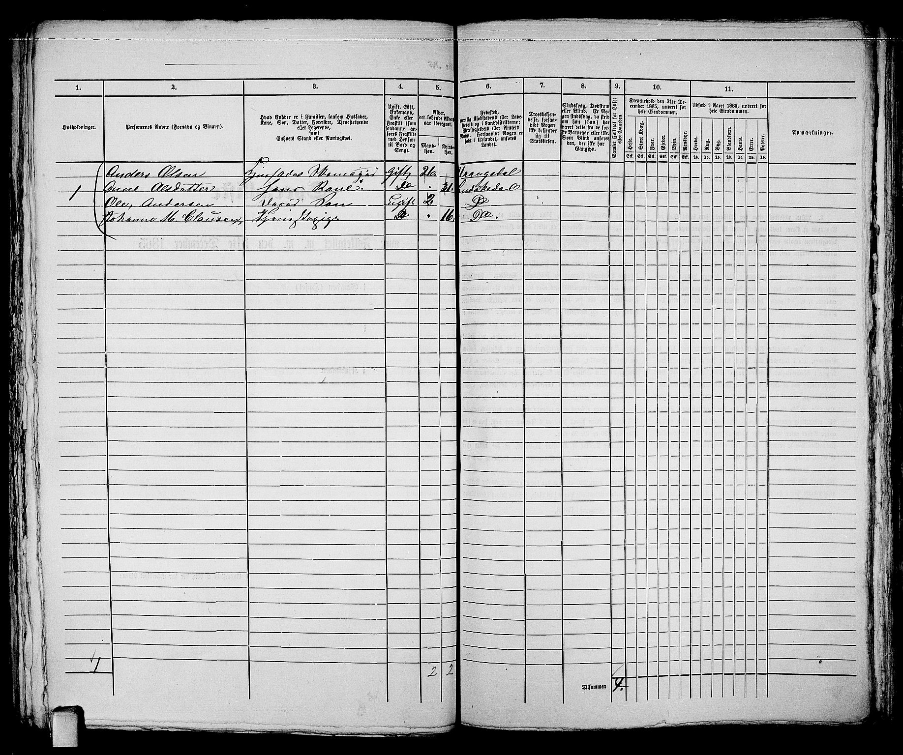 RA, 1865 census for Kragerø/Kragerø, 1865, p. 509