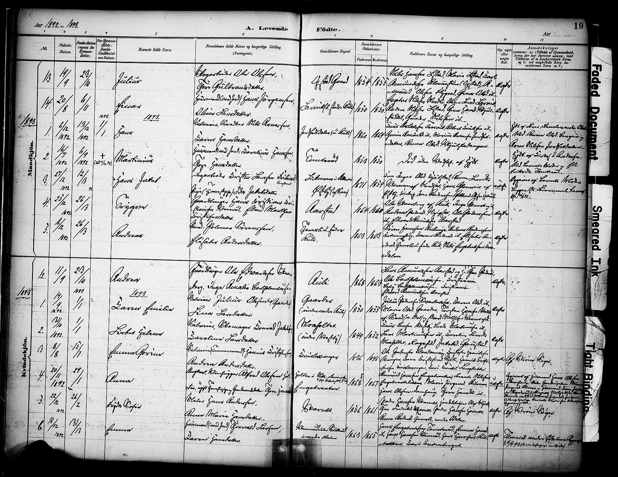 Sør-Odal prestekontor, AV/SAH-PREST-030/H/Ha/Haa/L0009: Parish register (official) no. 9, 1886-1926, p. 19