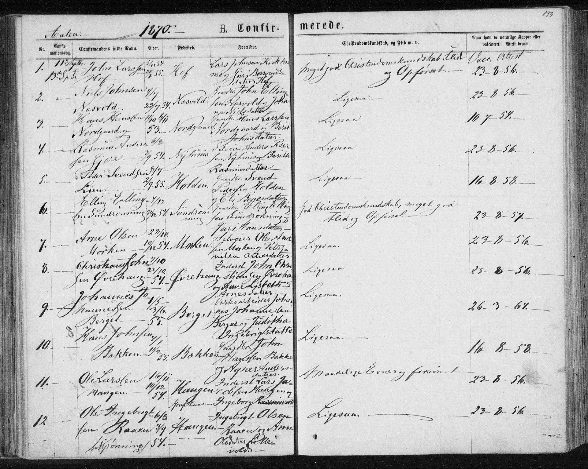 Ministerialprotokoller, klokkerbøker og fødselsregistre - Sør-Trøndelag, AV/SAT-A-1456/685/L0971: Parish register (official) no. 685A08 /3, 1870-1879, p. 133