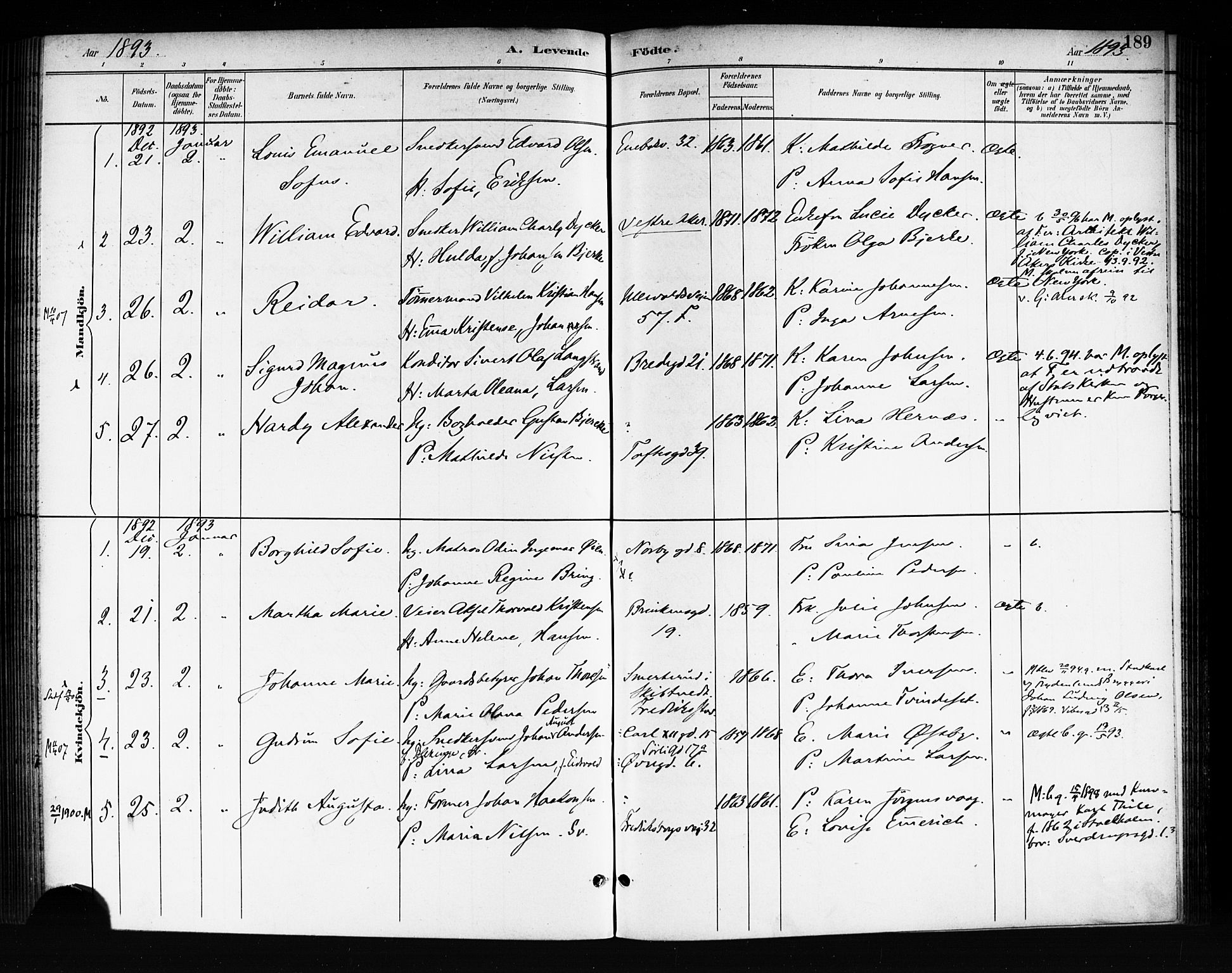 Rikshospitalet prestekontor Kirkebøker, AV/SAO-A-10309b/F/L0008: Parish register (official) no. 8, 1890-1893, p. 189