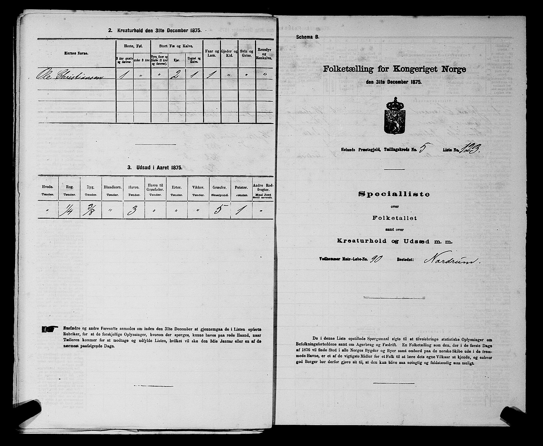 RA, 1875 census for 0221P Høland, 1875, p. 1071