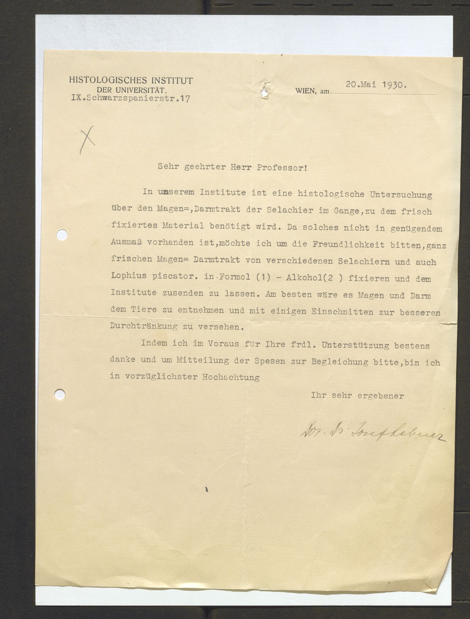 Bergens Museum, AV/SAB-A-17301/13/D/L0002: Korrespondanse , 1928-1940, p. 120