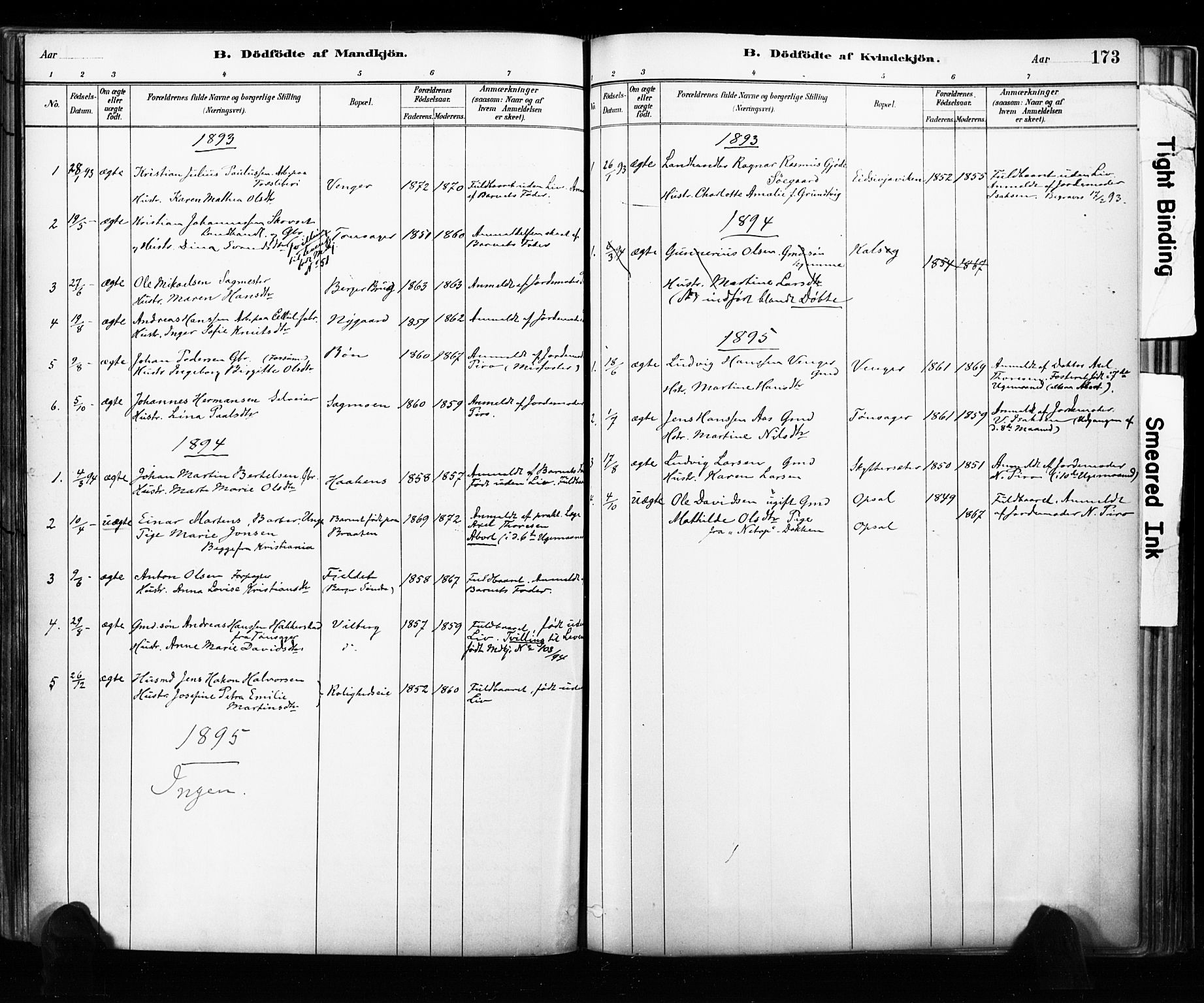 Eidsvoll prestekontor Kirkebøker, AV/SAO-A-10888/F/Fa/L0002: Parish register (official) no. I 2, 1882-1895, p. 173