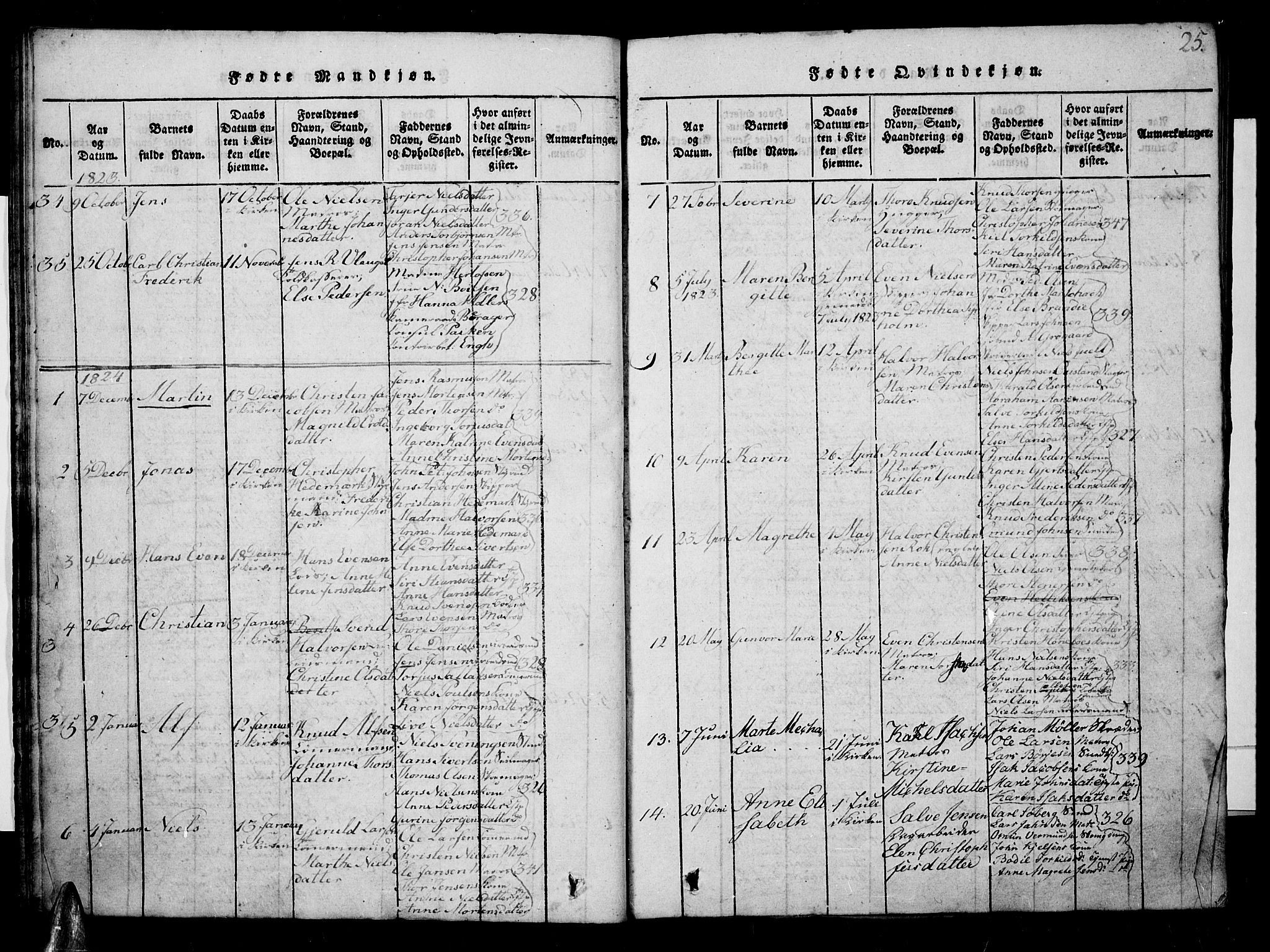 Risør sokneprestkontor, SAK/1111-0035/F/Fb/L0004: Parish register (copy) no. B 4, 1816-1848, p. 25