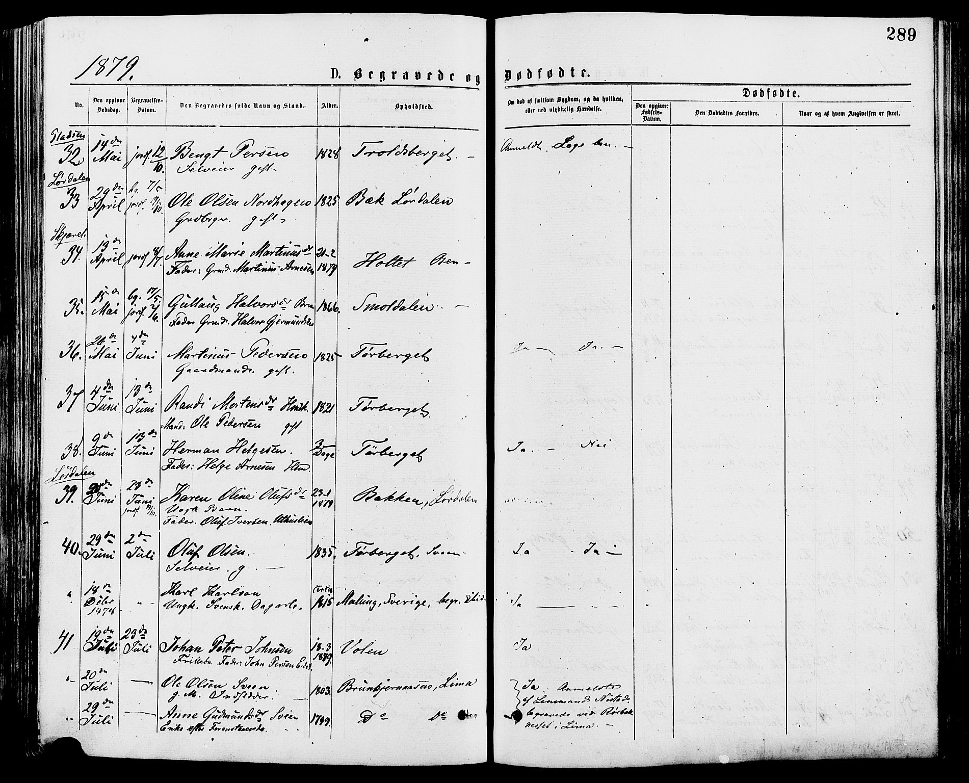 Trysil prestekontor, AV/SAH-PREST-046/H/Ha/Haa/L0007: Parish register (official) no. 7, 1874-1880, p. 289