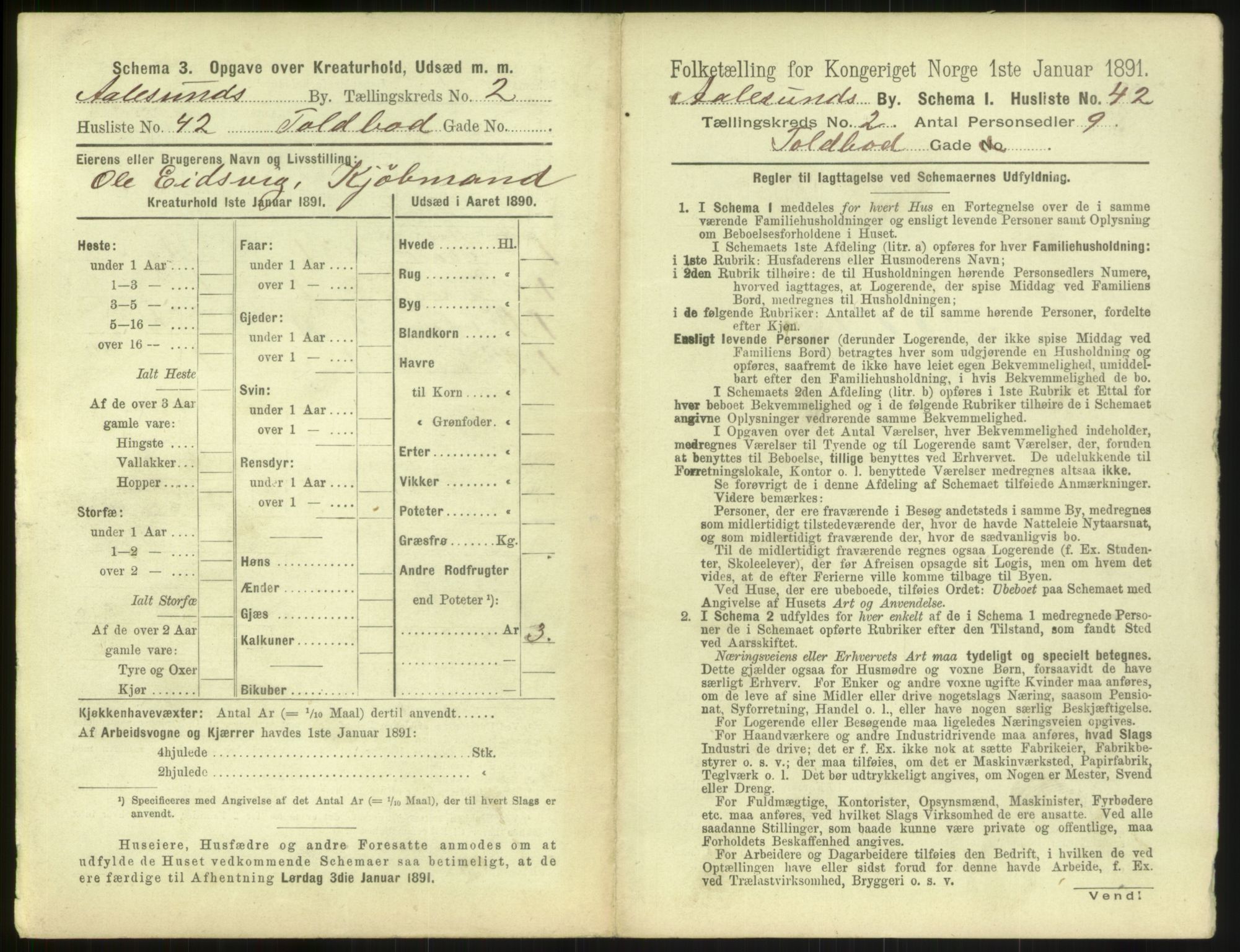 RA, 1891 census for 1501 Ålesund, 1891, p. 204