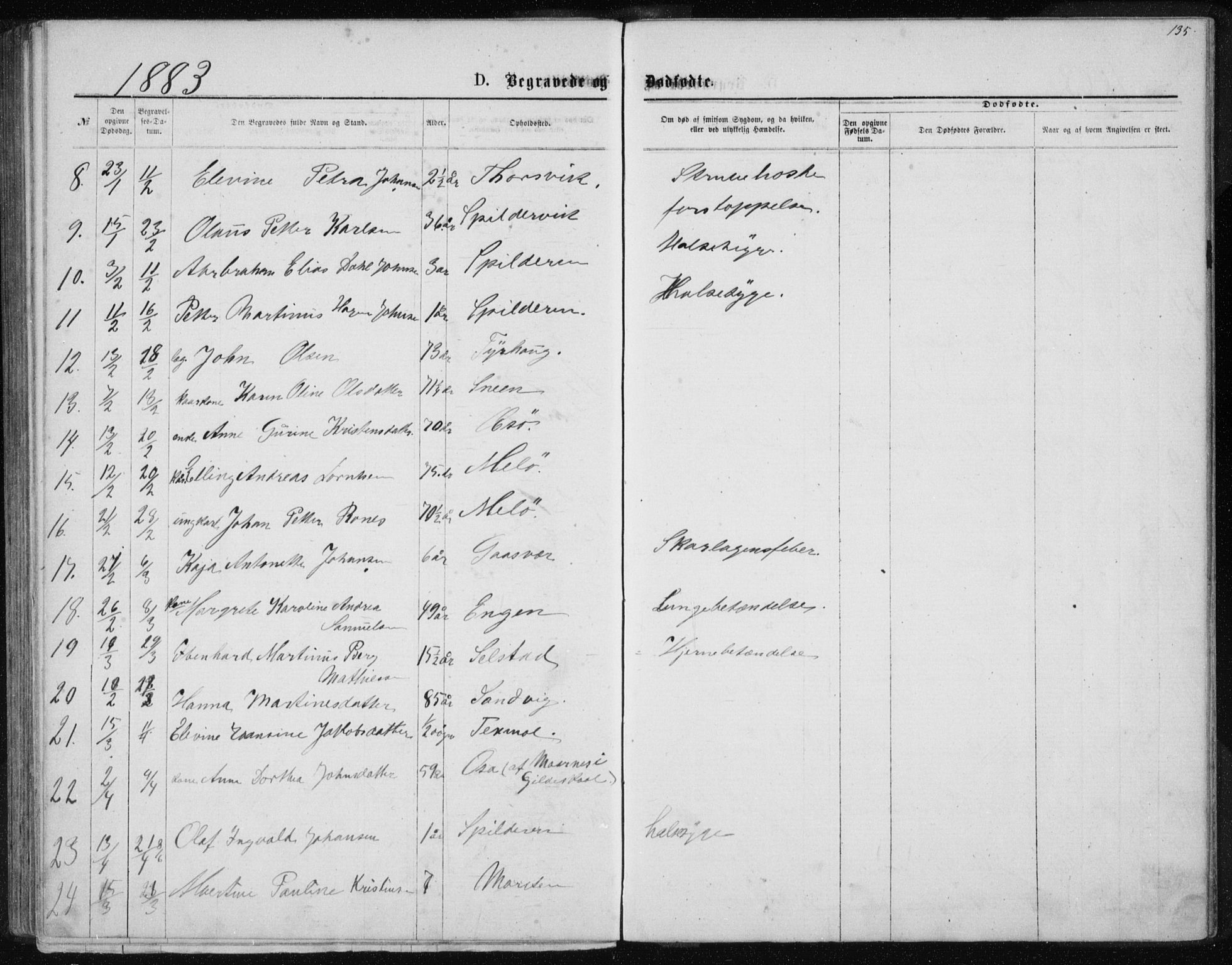 Ministerialprotokoller, klokkerbøker og fødselsregistre - Nordland, AV/SAT-A-1459/843/L0635: Parish register (copy) no. 843C04, 1872-1887, p. 135