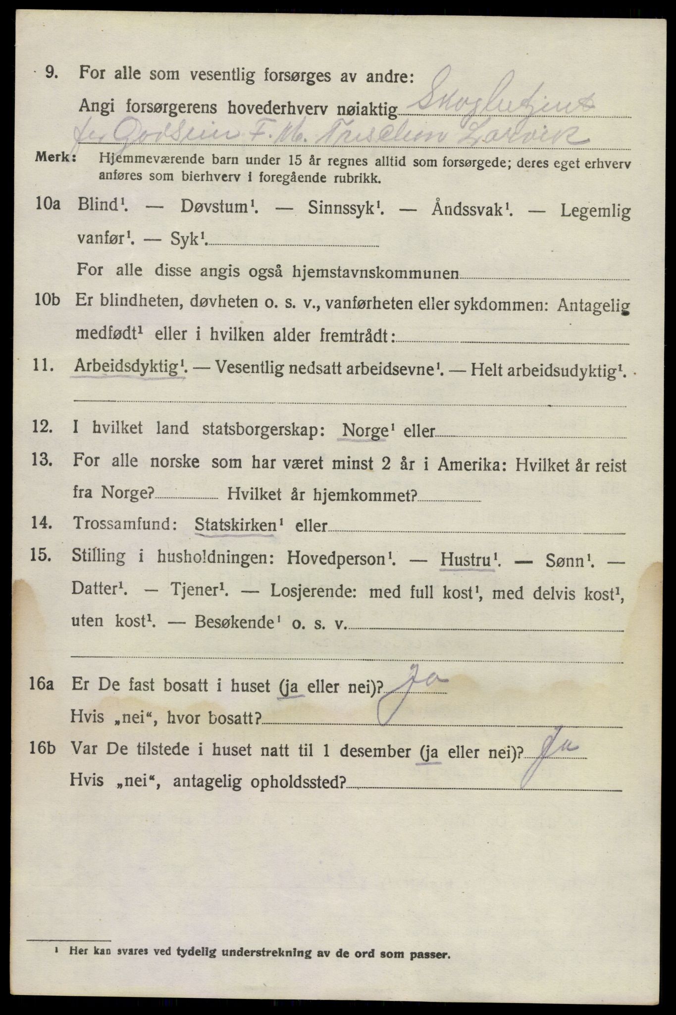 SAKO, 1920 census for Brunlanes, 1920, p. 11346