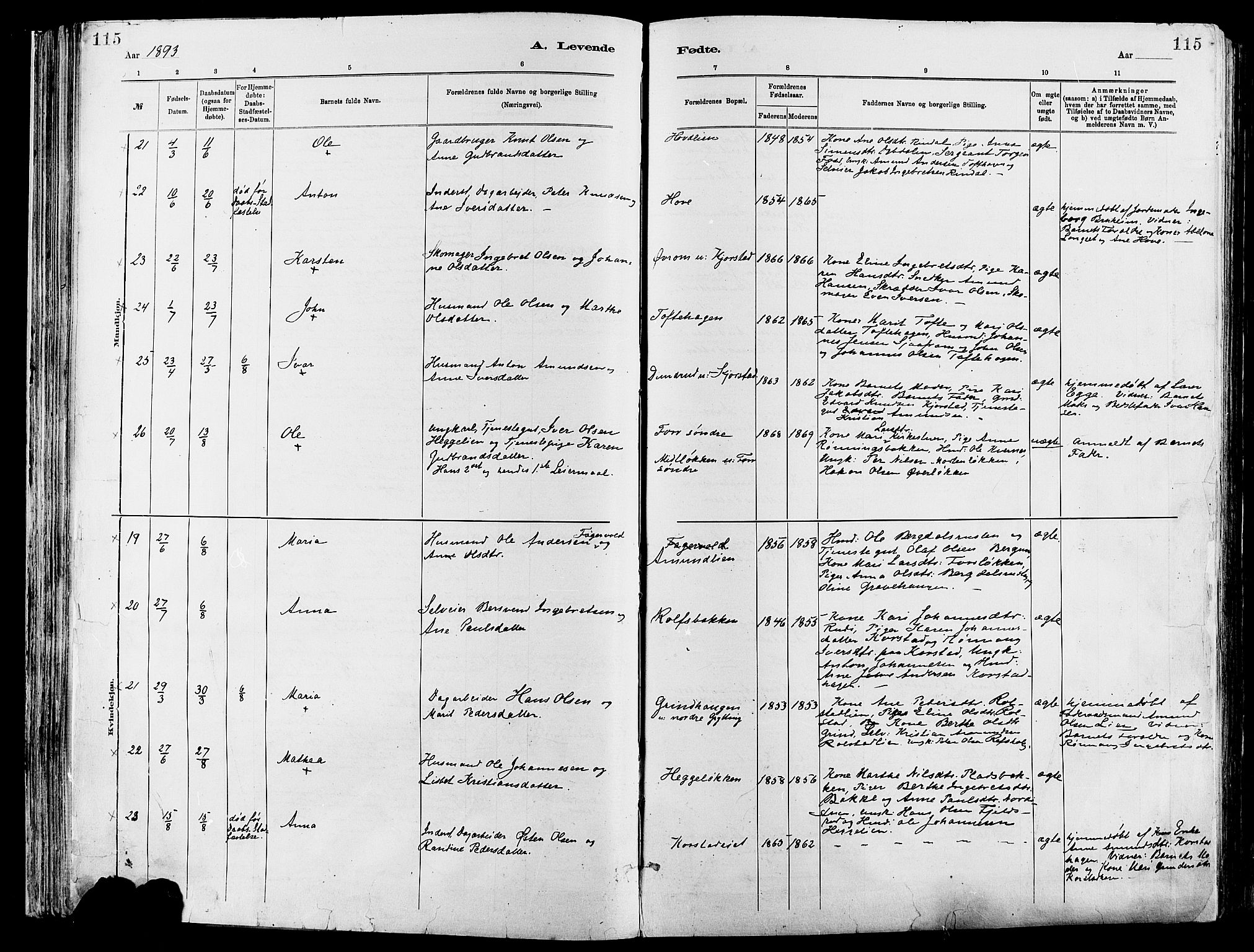 Sør-Fron prestekontor, AV/SAH-PREST-010/H/Ha/Haa/L0003: Parish register (official) no. 3, 1881-1897, p. 115