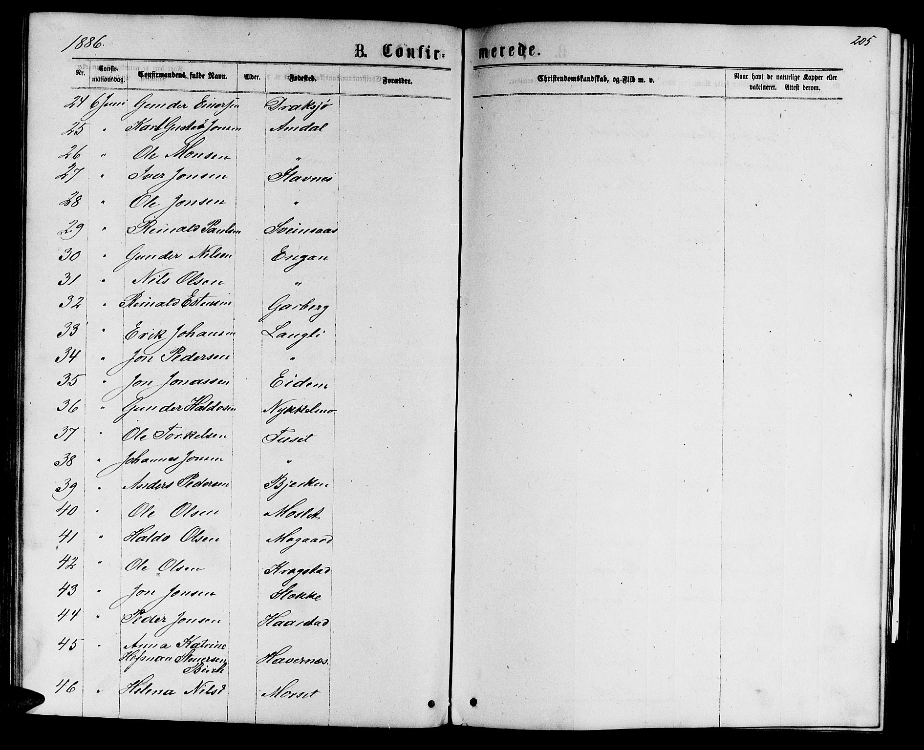 Ministerialprotokoller, klokkerbøker og fødselsregistre - Sør-Trøndelag, SAT/A-1456/695/L1156: Parish register (copy) no. 695C07, 1869-1888, p. 205