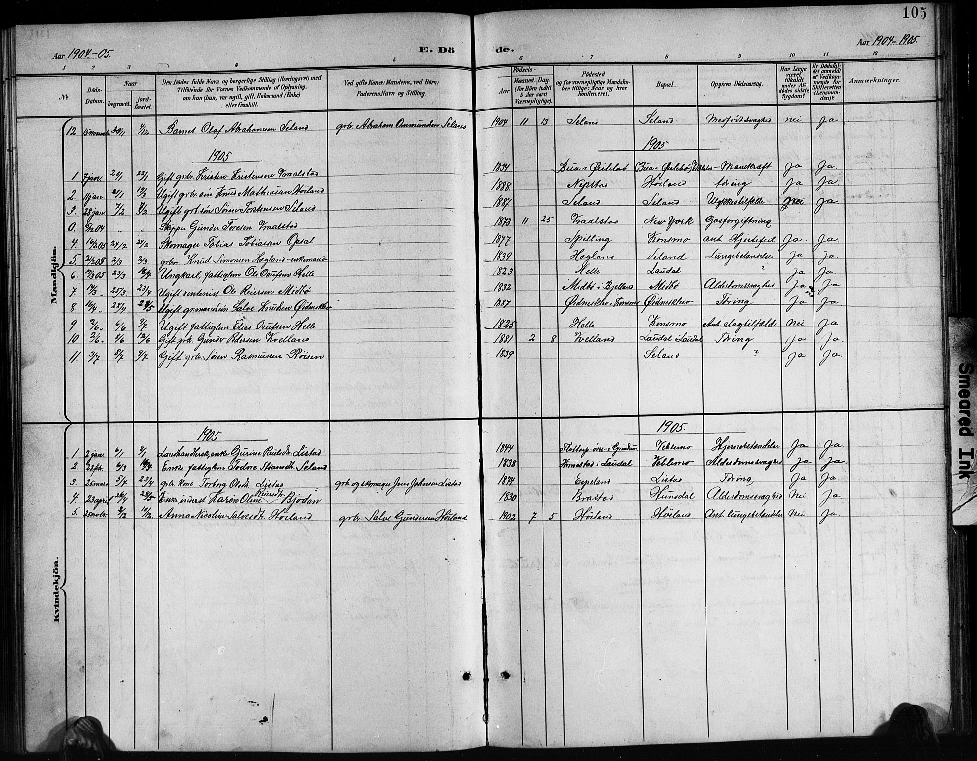 Nord-Audnedal sokneprestkontor, SAK/1111-0032/F/Fb/Fba/L0004: Parish register (copy) no. B 4, 1901-1917, p. 105