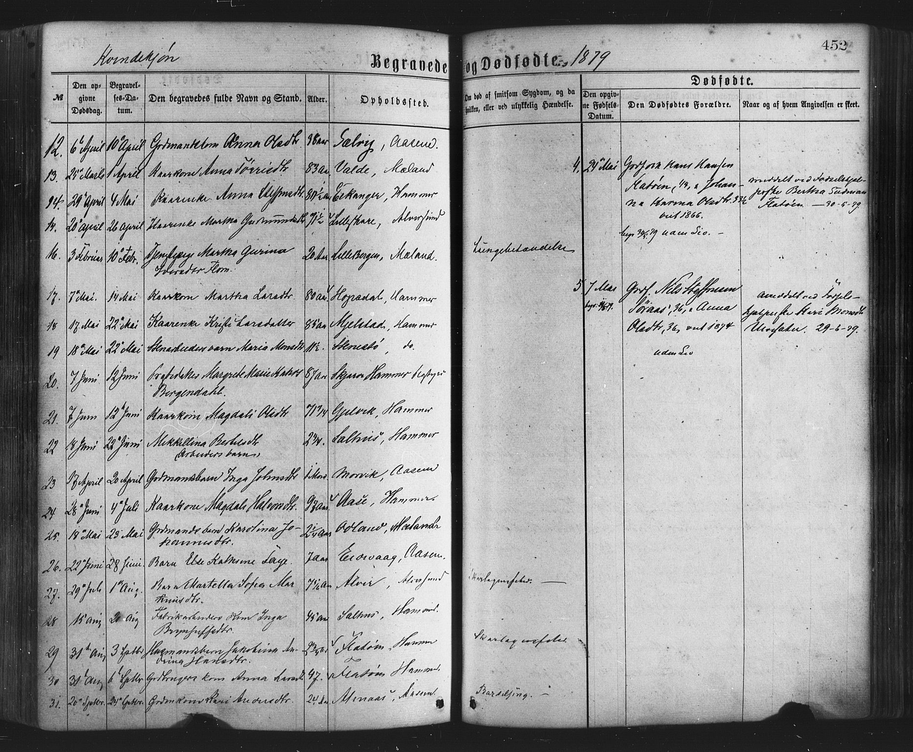 Hamre sokneprestembete, AV/SAB-A-75501/H/Ha/Haa/Haaa/L0015: Parish register (official) no. A 15, 1870-1881, p. 452