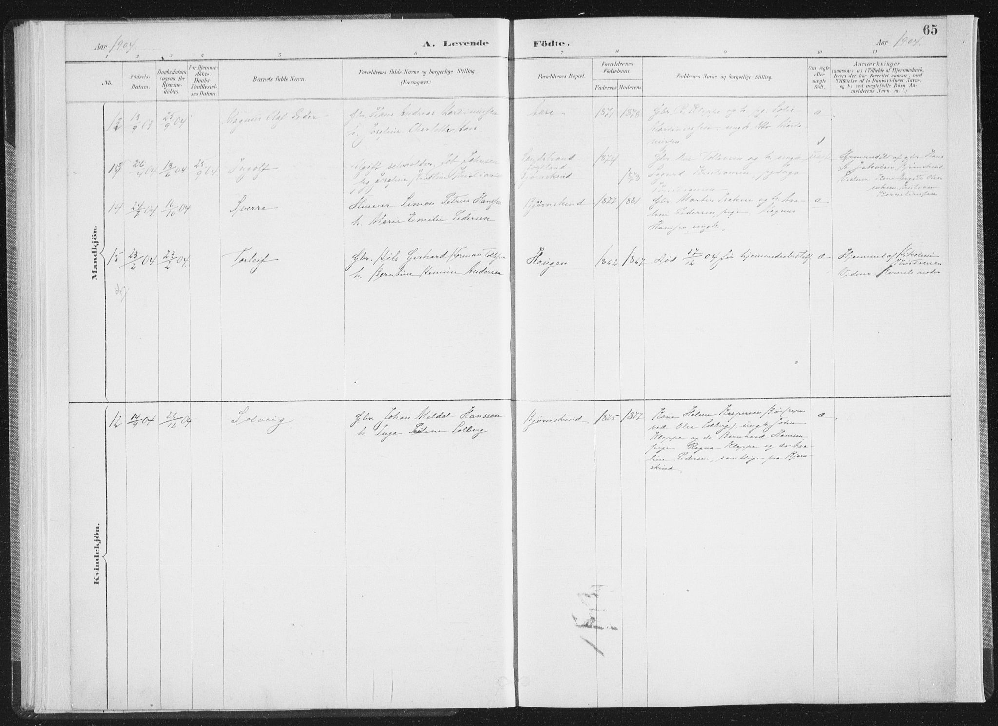 Ministerialprotokoller, klokkerbøker og fødselsregistre - Nordland, AV/SAT-A-1459/898/L1422: Parish register (official) no. 898A02, 1887-1908, p. 65