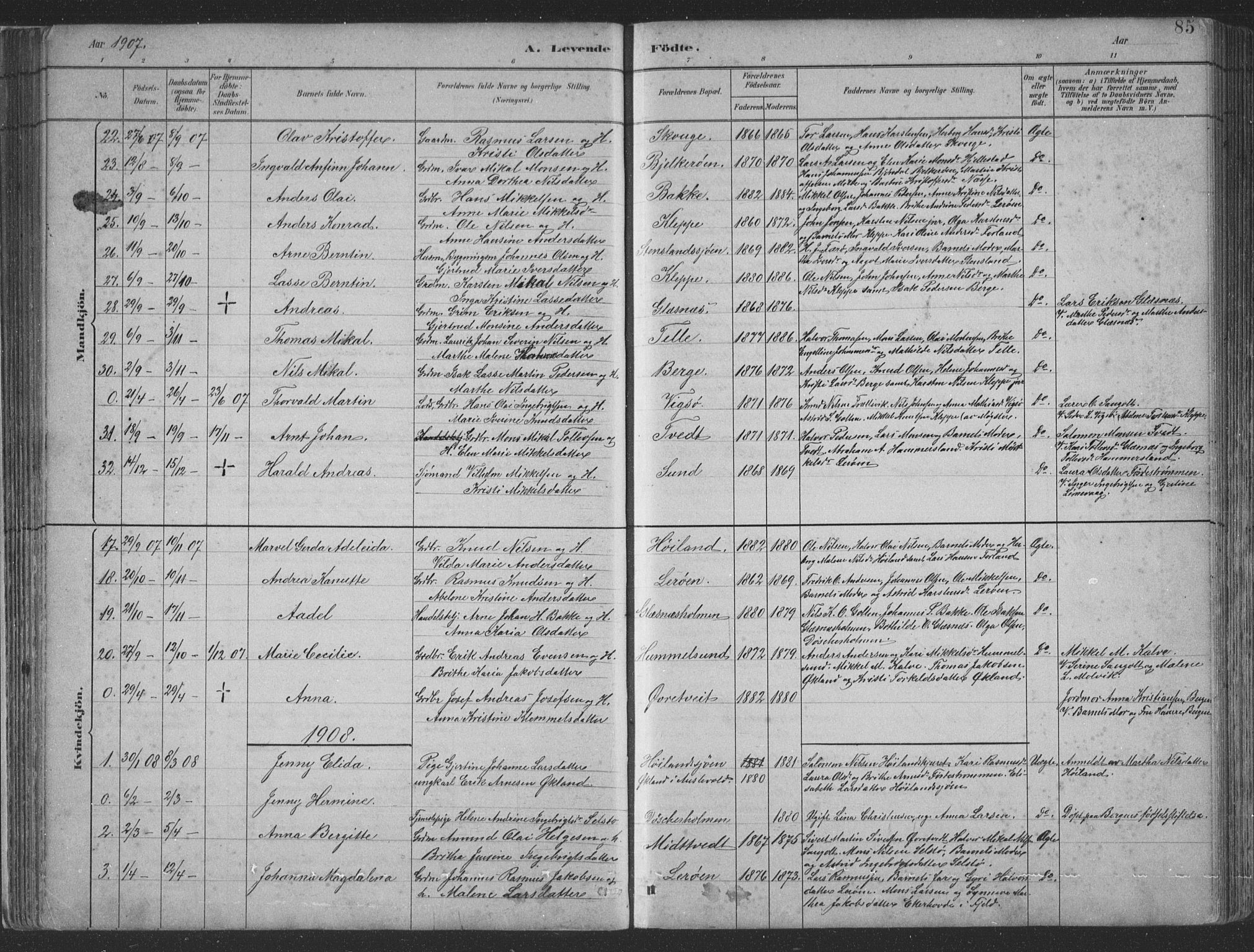 Sund sokneprestembete, SAB/A-99930: Parish register (copy) no. B 3, 1882-1911, p. 85