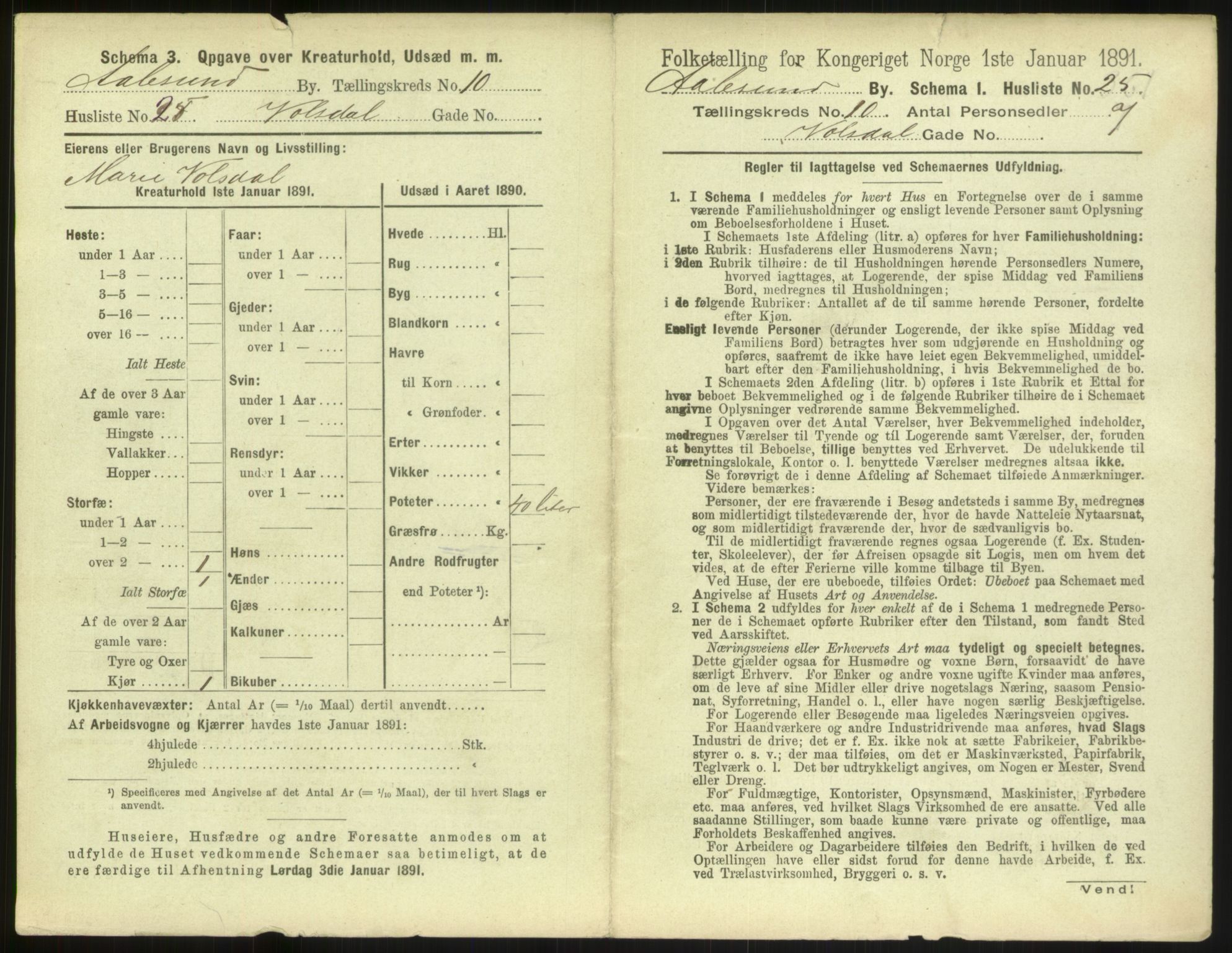 RA, 1891 census for 1501 Ålesund, 1891, p. 794