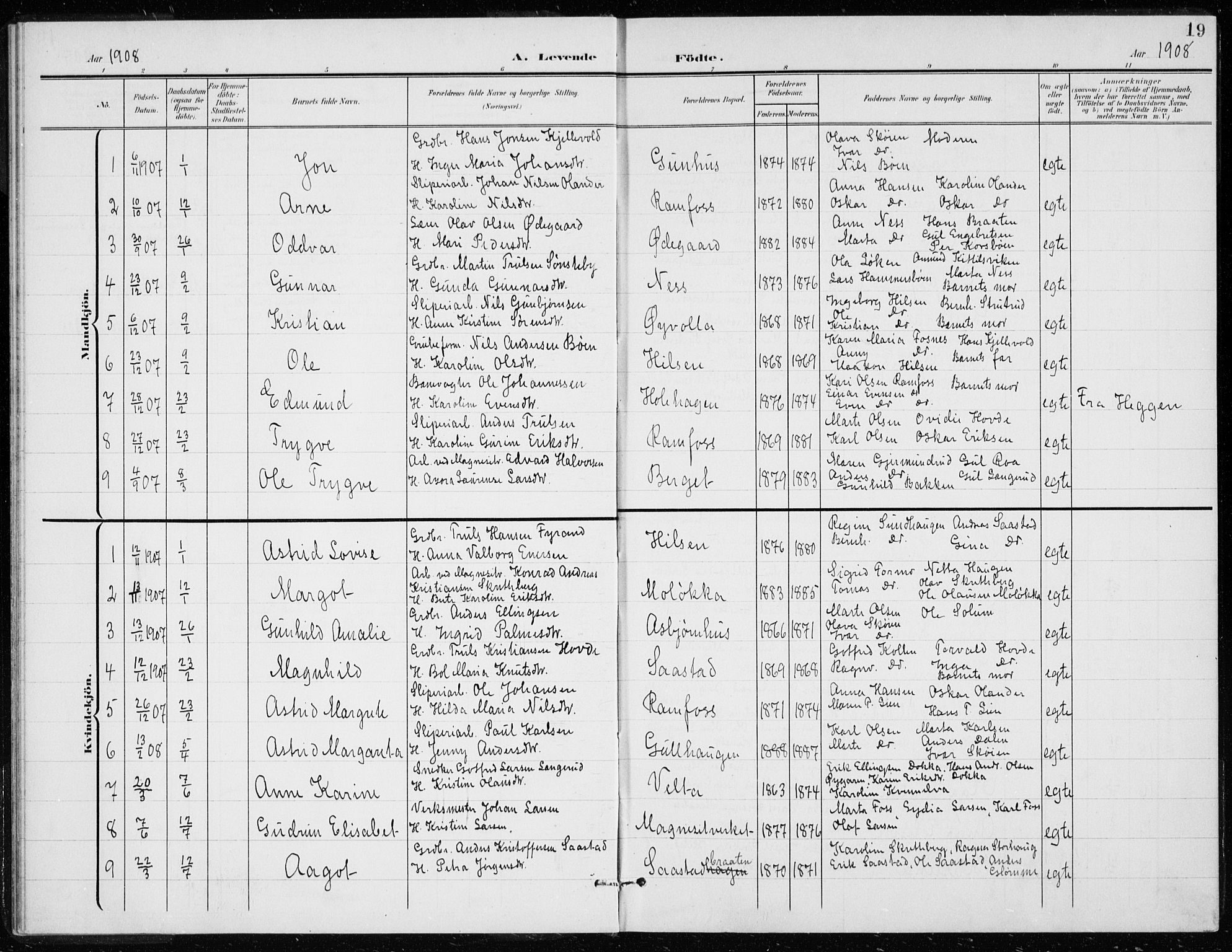 Modum kirkebøker, AV/SAKO-A-234/G/Gd/L0001: Parish register (copy) no. IV 1, 1901-1921, p. 19