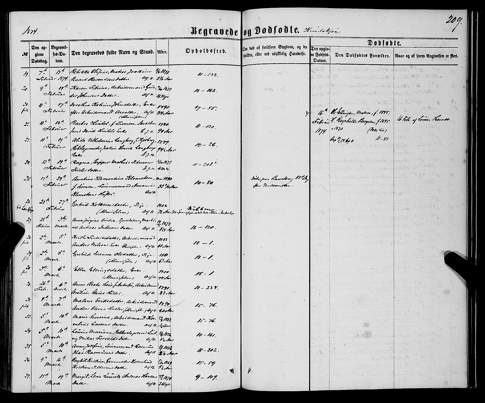 Domkirken sokneprestembete, AV/SAB-A-74801/H/Haa/L0042: Parish register (official) no. E 3, 1863-1876, p. 209