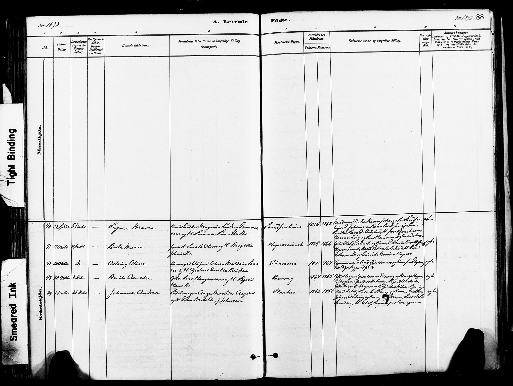 Ministerialprotokoller, klokkerbøker og fødselsregistre - Nord-Trøndelag, SAT/A-1458/709/L0077: Parish register (official) no. 709A17, 1880-1895, p. 88