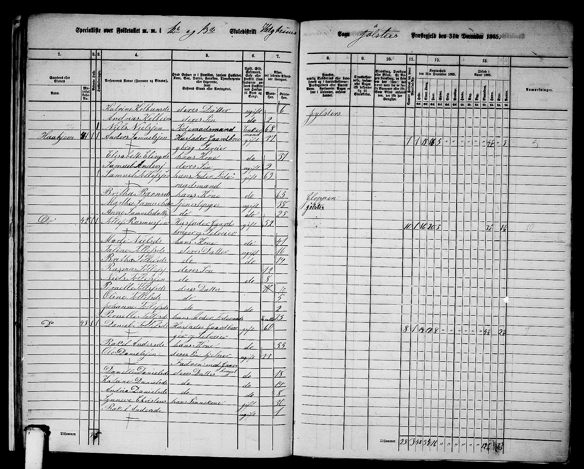 RA, 1865 census for Jølster, 1865, p. 27