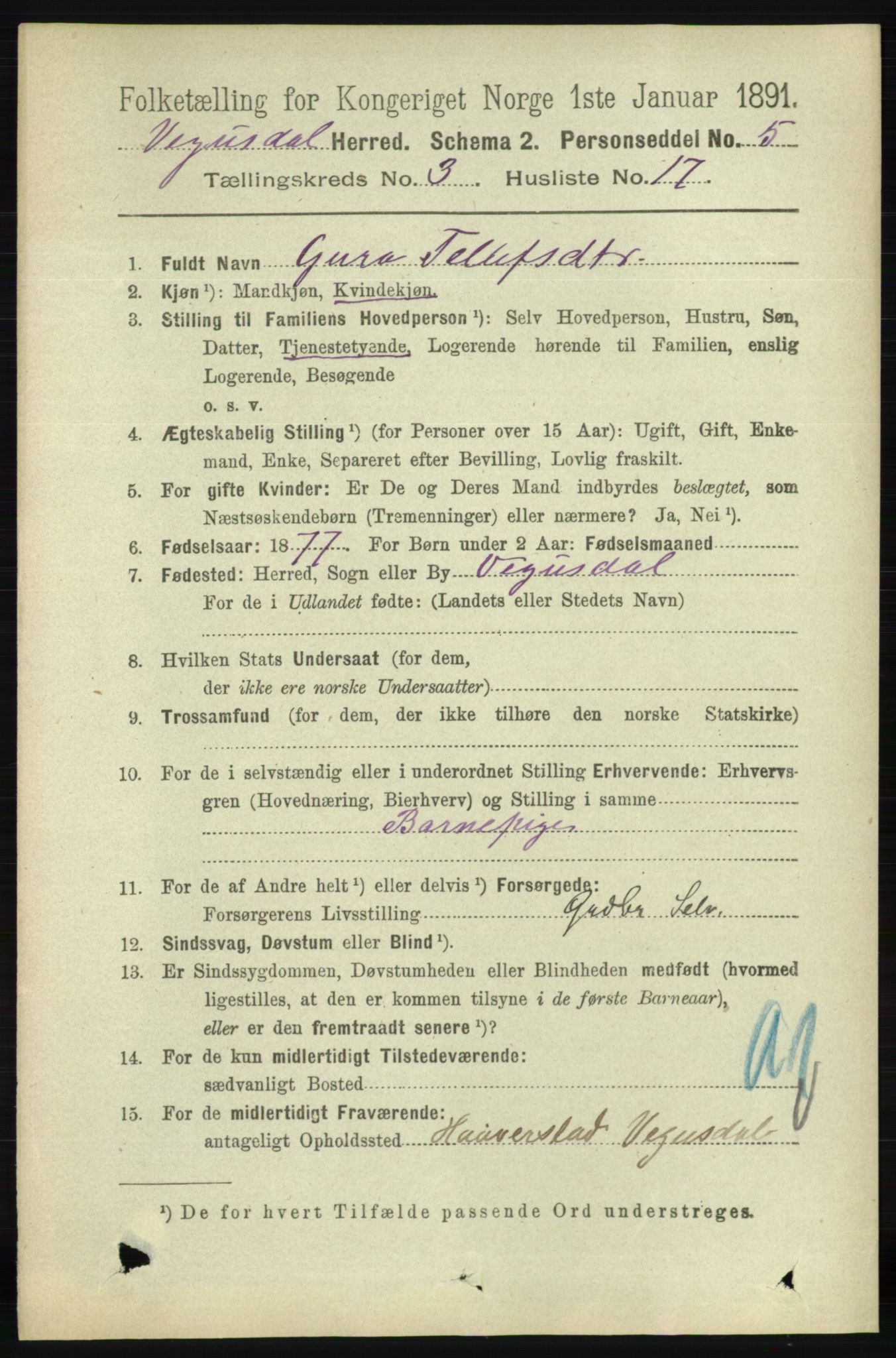 RA, 1891 census for 0934 Vegusdal, 1891, p. 684