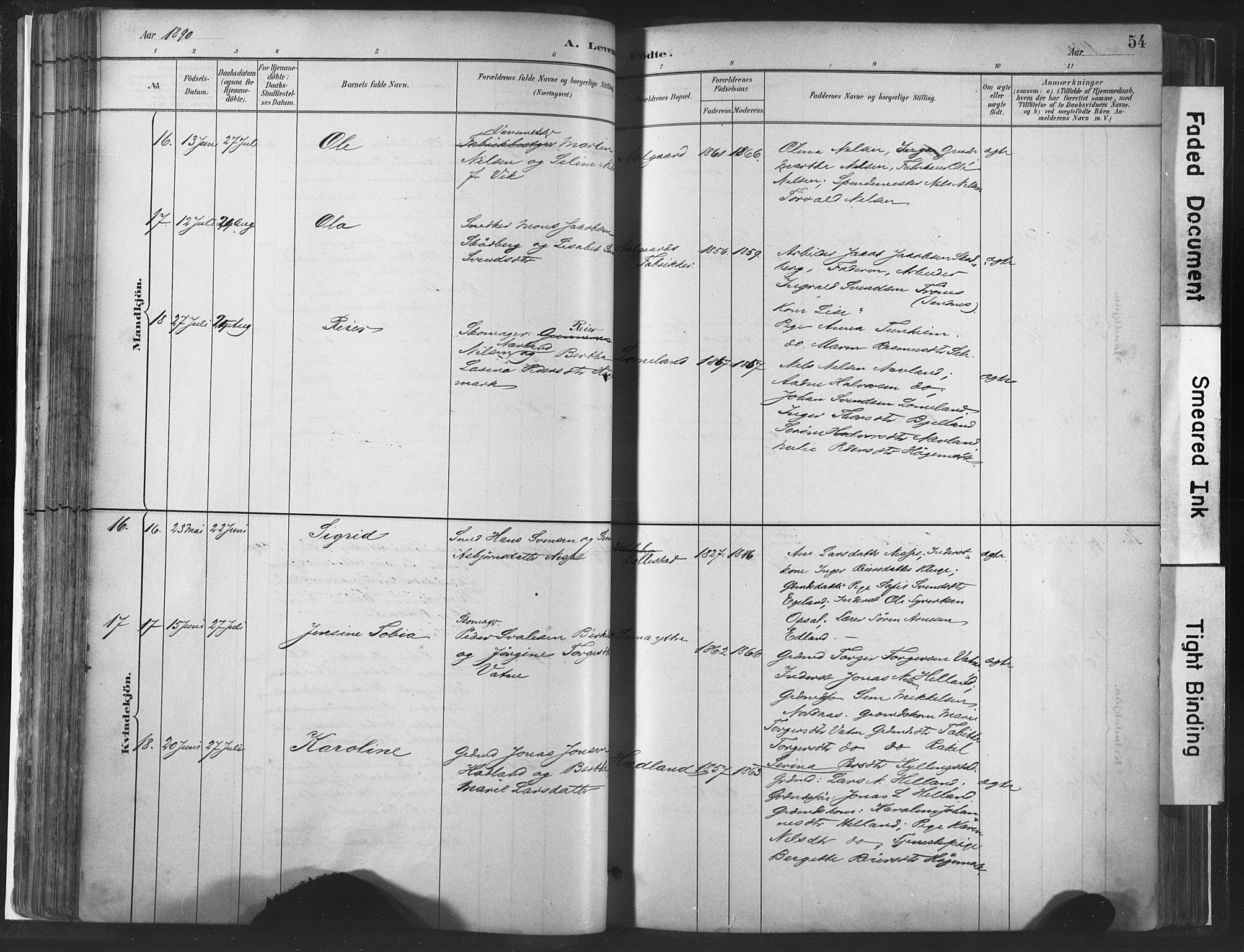 Lye sokneprestkontor, AV/SAST-A-101794/001/30BA/L0010: Parish register (official) no. A 10, 1881-1896, p. 54