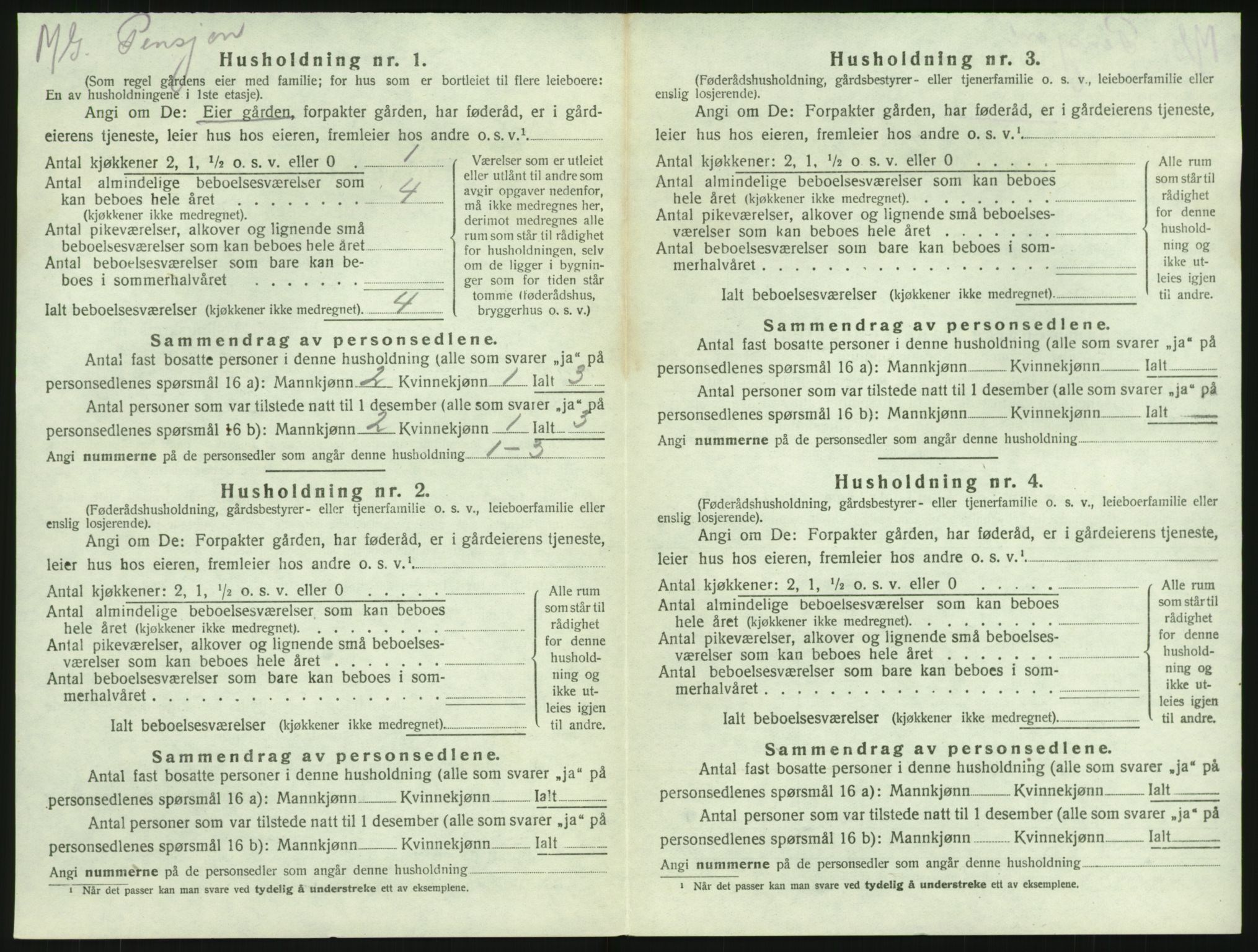 SAKO, 1920 census for Brunlanes, 1920, p. 1504