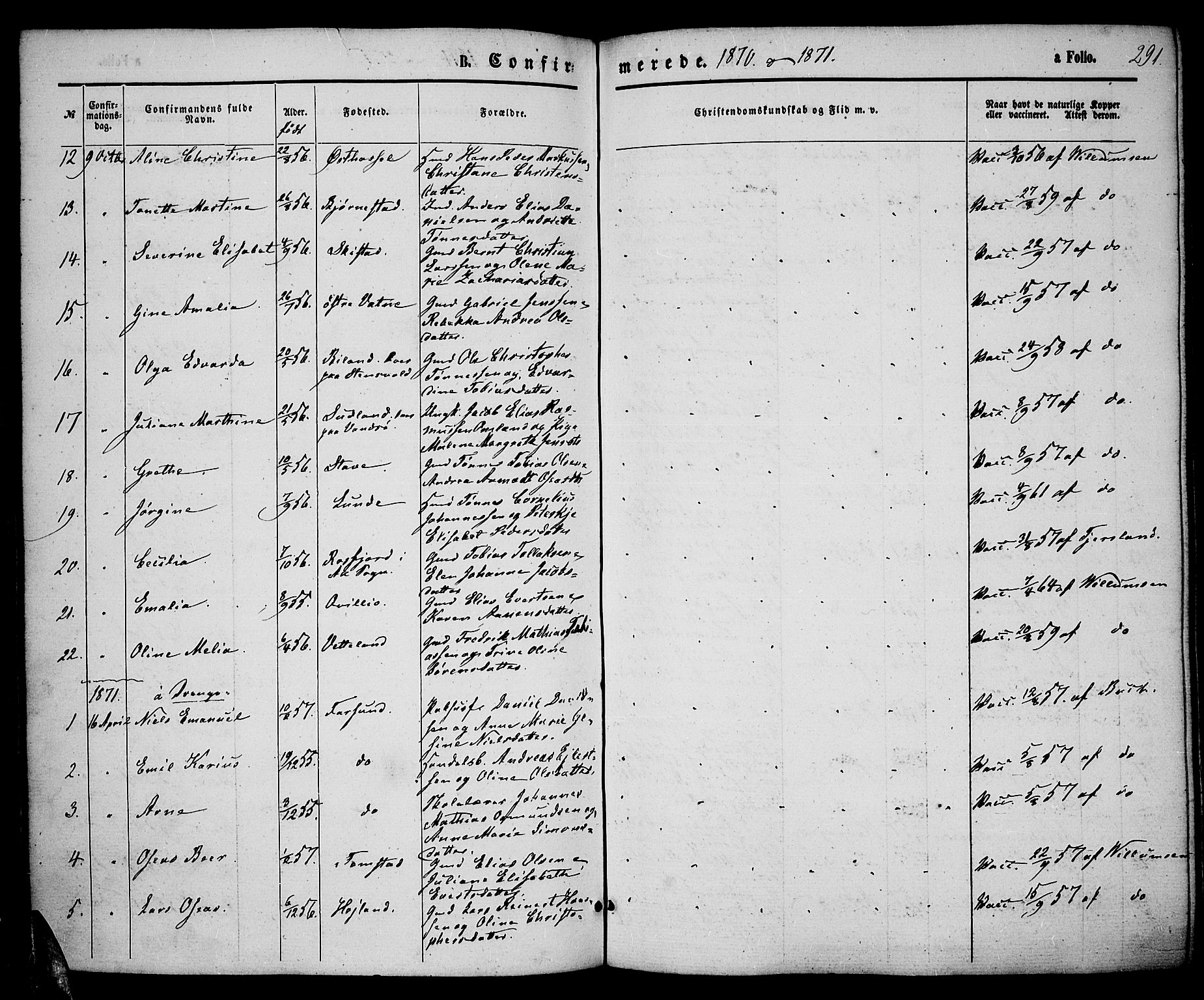 Lista sokneprestkontor, AV/SAK-1111-0027/F/Fb/L0003: Parish register (copy) no. B 3, 1862-1877, p. 291