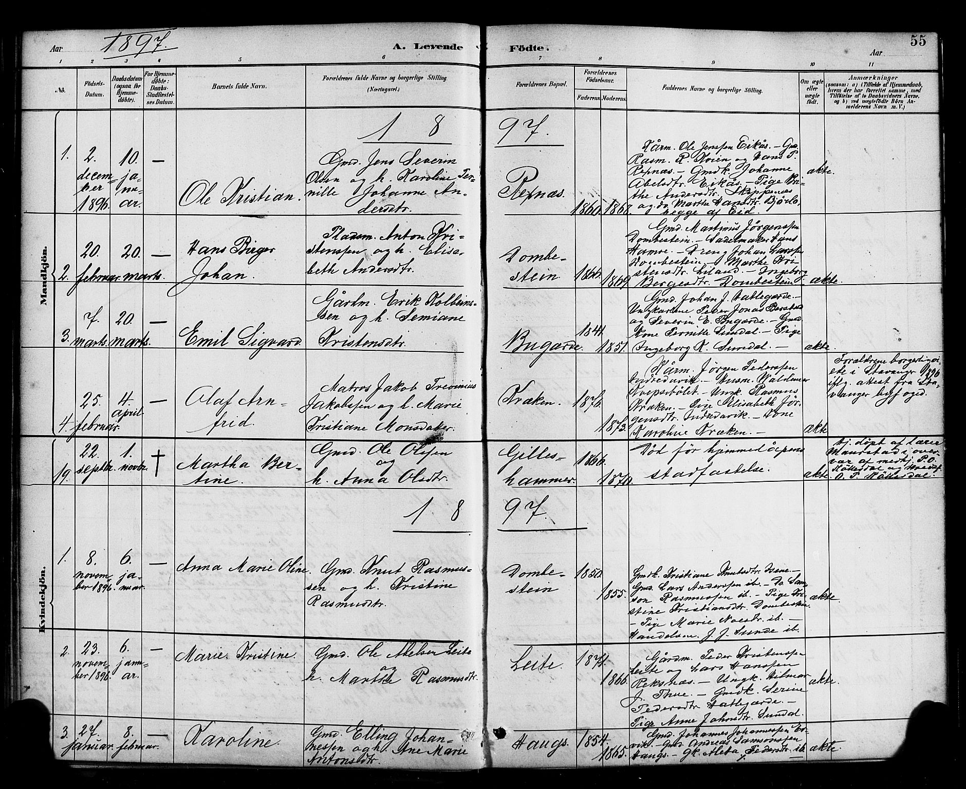 Davik sokneprestembete, AV/SAB-A-79701/H/Haa/Haab/L0001: Parish register (official) no. B 1, 1882-1900, p. 55