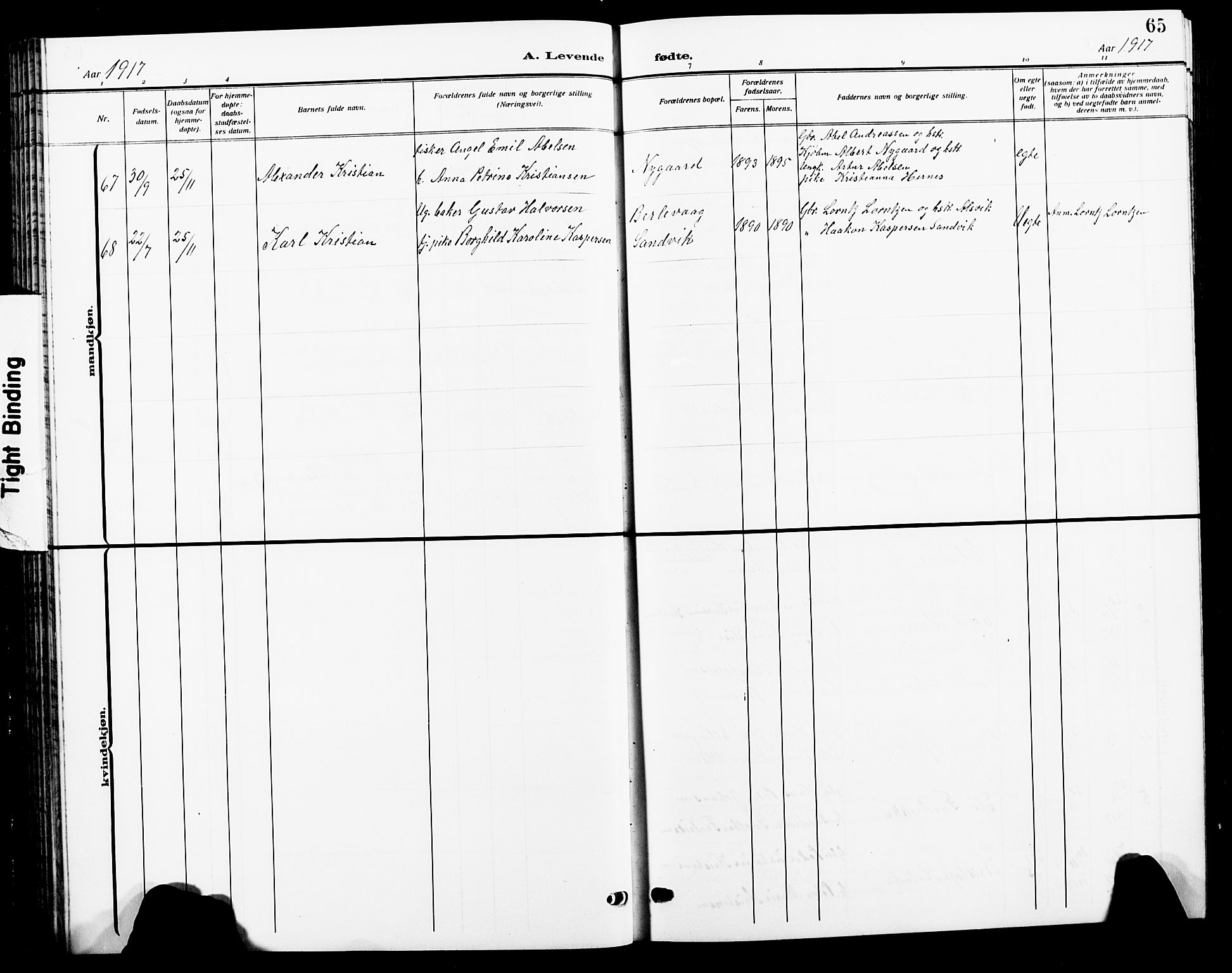 Ministerialprotokoller, klokkerbøker og fødselsregistre - Nordland, AV/SAT-A-1459/805/L0110: Parish register (copy) no. 805C06, 1909-1924, p. 65