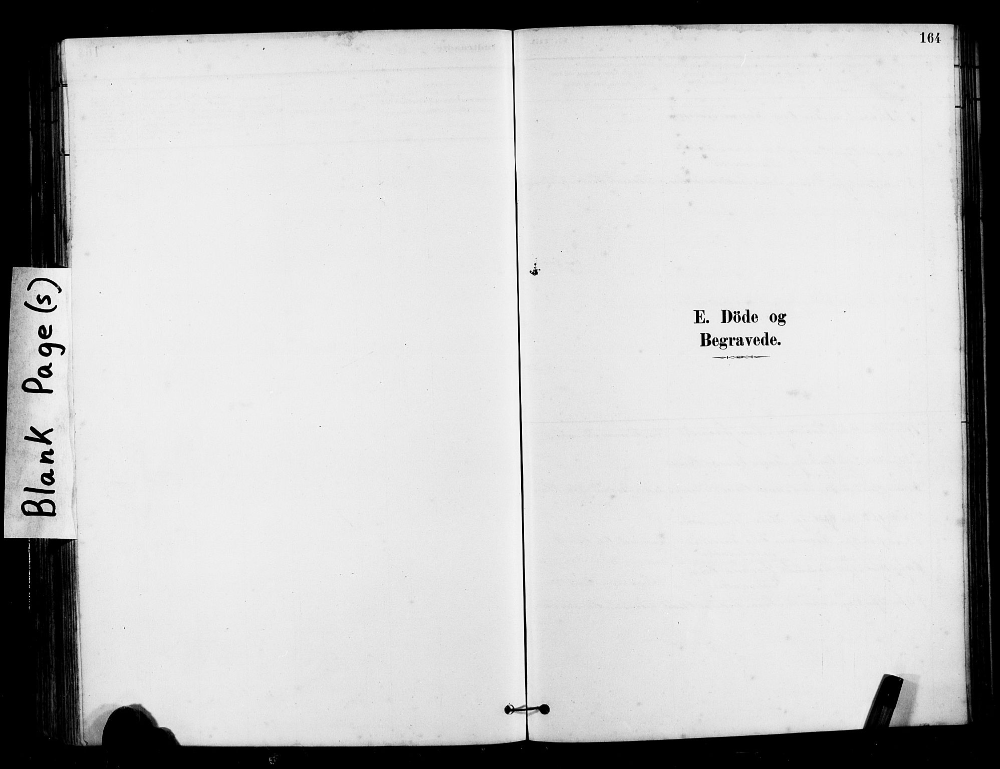 Ministerialprotokoller, klokkerbøker og fødselsregistre - Møre og Romsdal, SAT/A-1454/525/L0376: Parish register (copy) no. 525C02, 1880-1902, p. 164