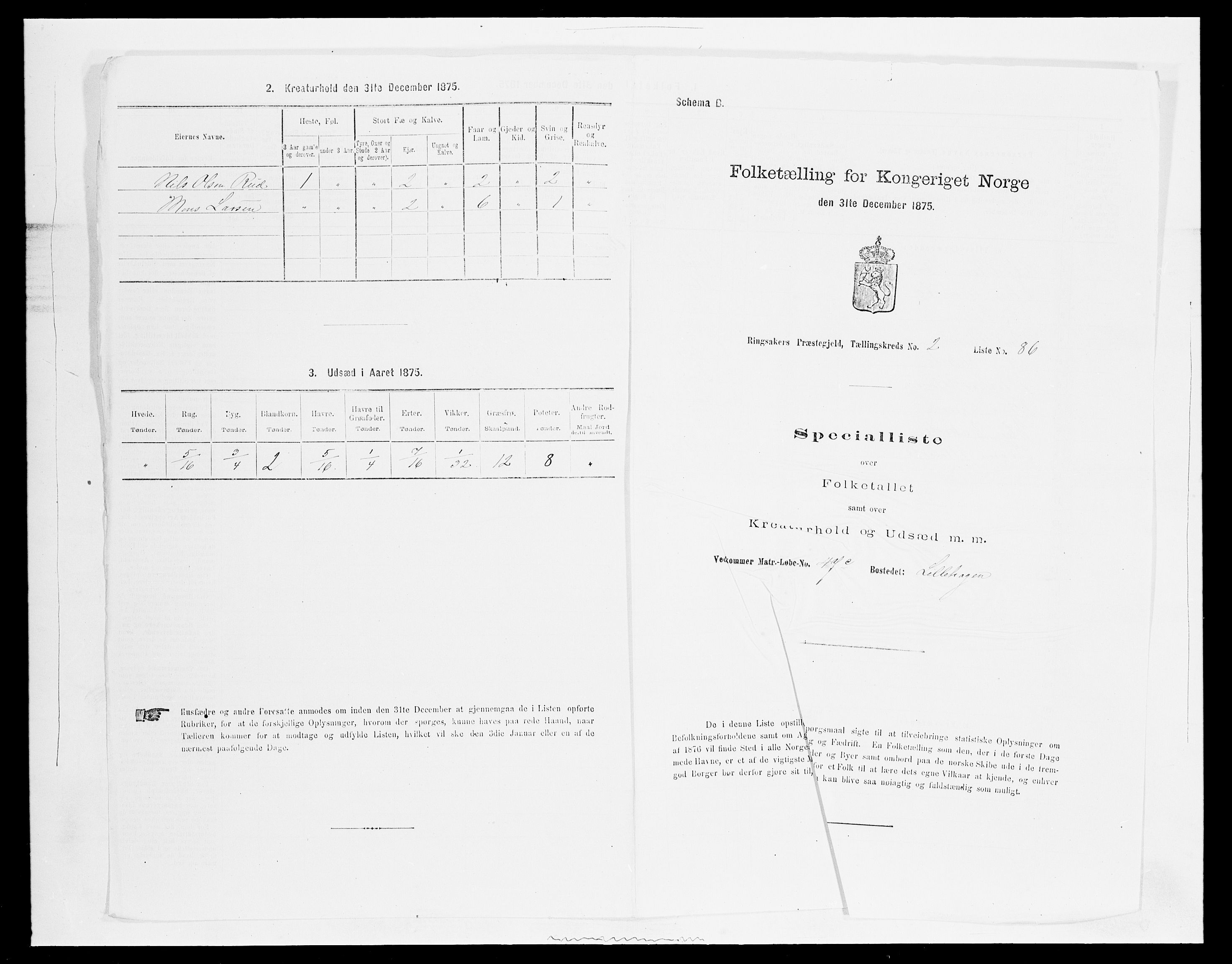 SAH, 1875 census for 0412P Ringsaker, 1875, p. 608