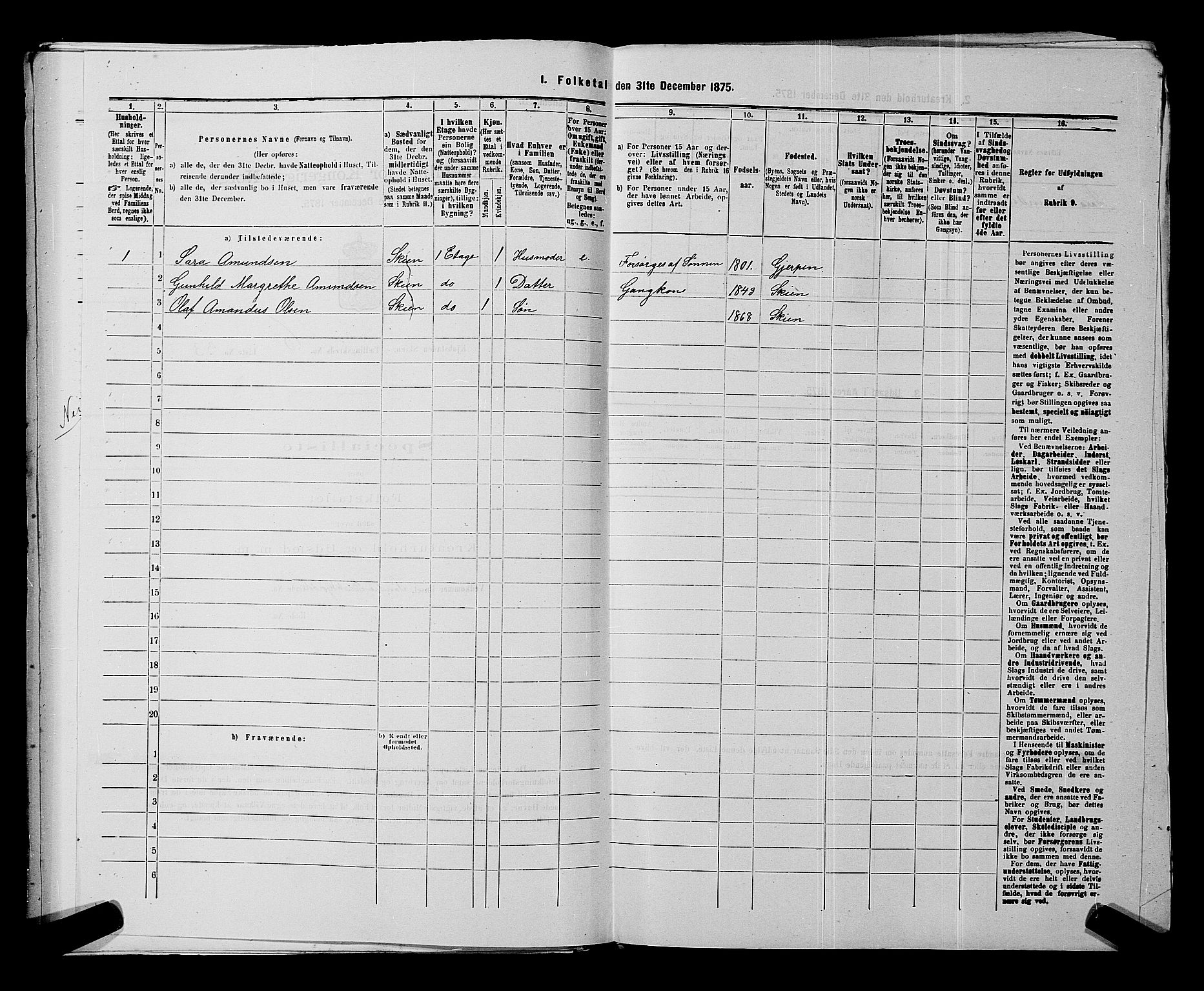 SAKO, 1875 census for 0806P Skien, 1875, p. 1030