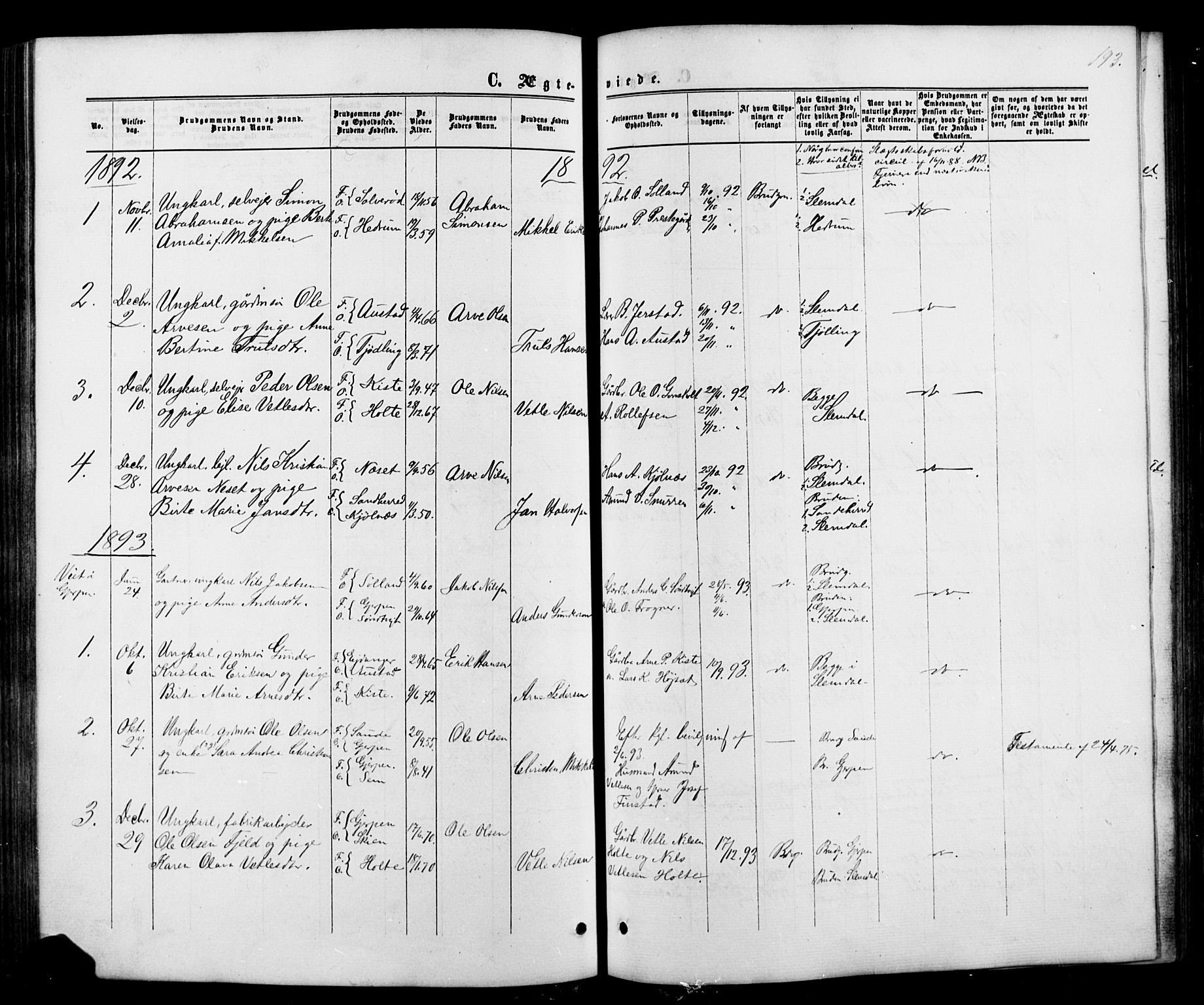 Siljan kirkebøker, SAKO/A-300/G/Ga/L0002: Parish register (copy) no. 2, 1864-1908, p. 193