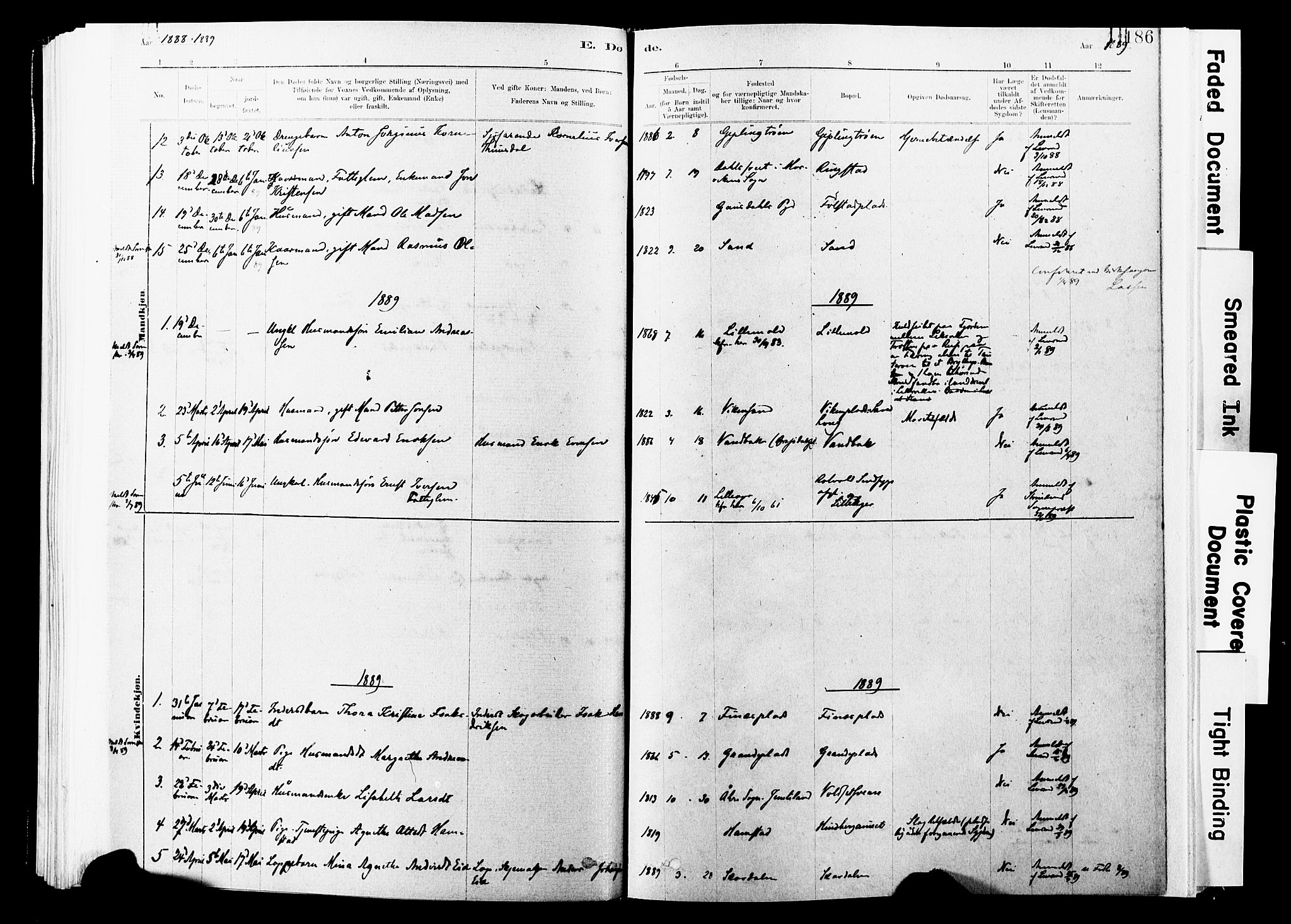 Ministerialprotokoller, klokkerbøker og fødselsregistre - Nord-Trøndelag, SAT/A-1458/744/L0420: Parish register (official) no. 744A04, 1882-1904, p. 186
