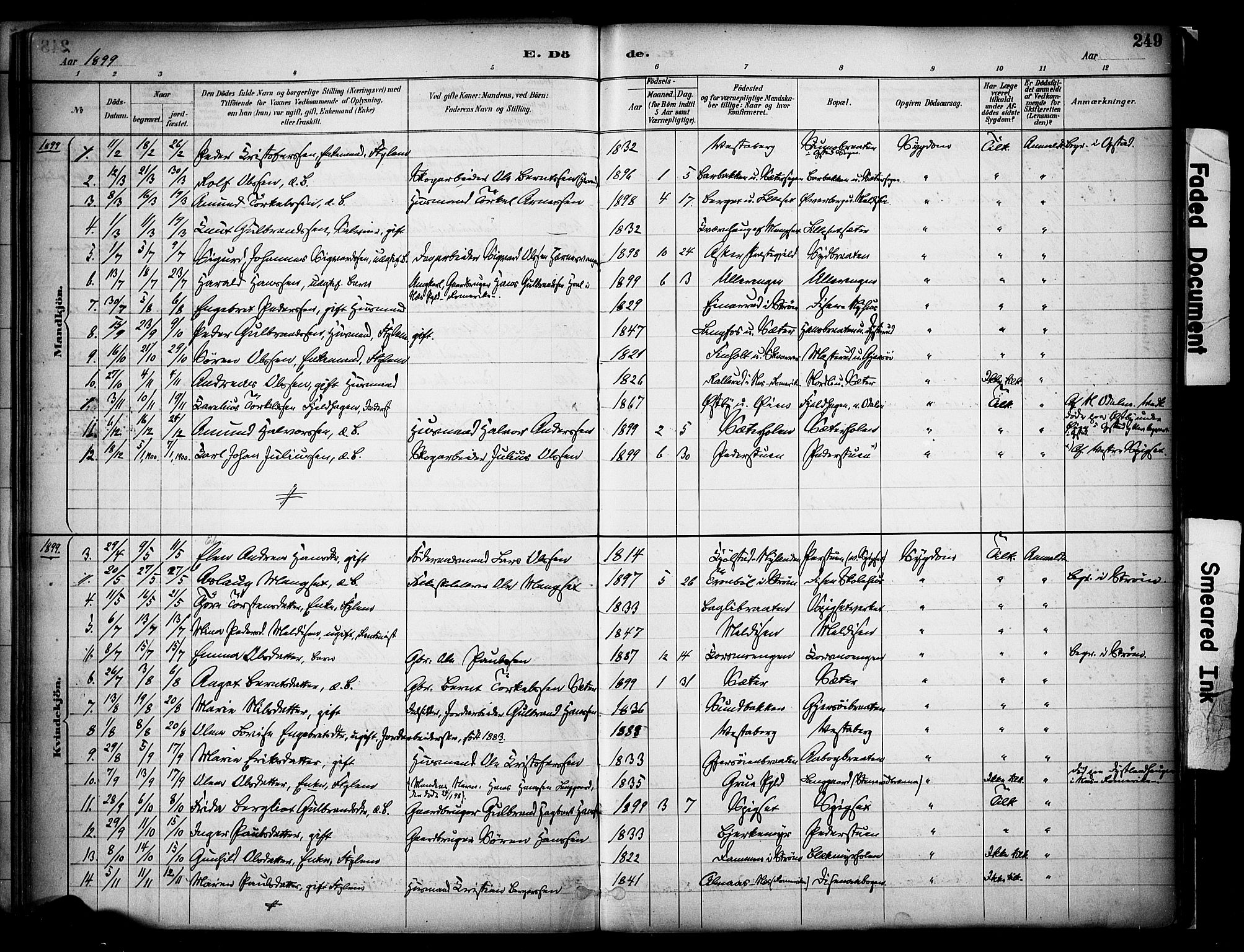 Sør-Odal prestekontor, SAH/PREST-030/H/Ha/Haa/L0008: Parish register (official) no. 8, 1886-1922, p. 249