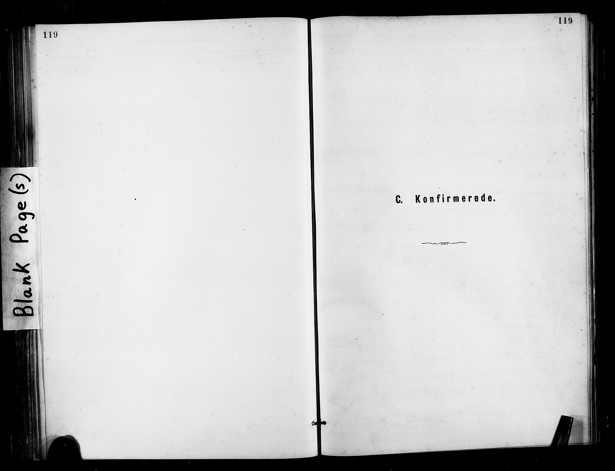 Ministerialprotokoller, klokkerbøker og fødselsregistre - Møre og Romsdal, SAT/A-1454/566/L0769: Parish register (official) no. 566A08, 1881-1903, p. 119