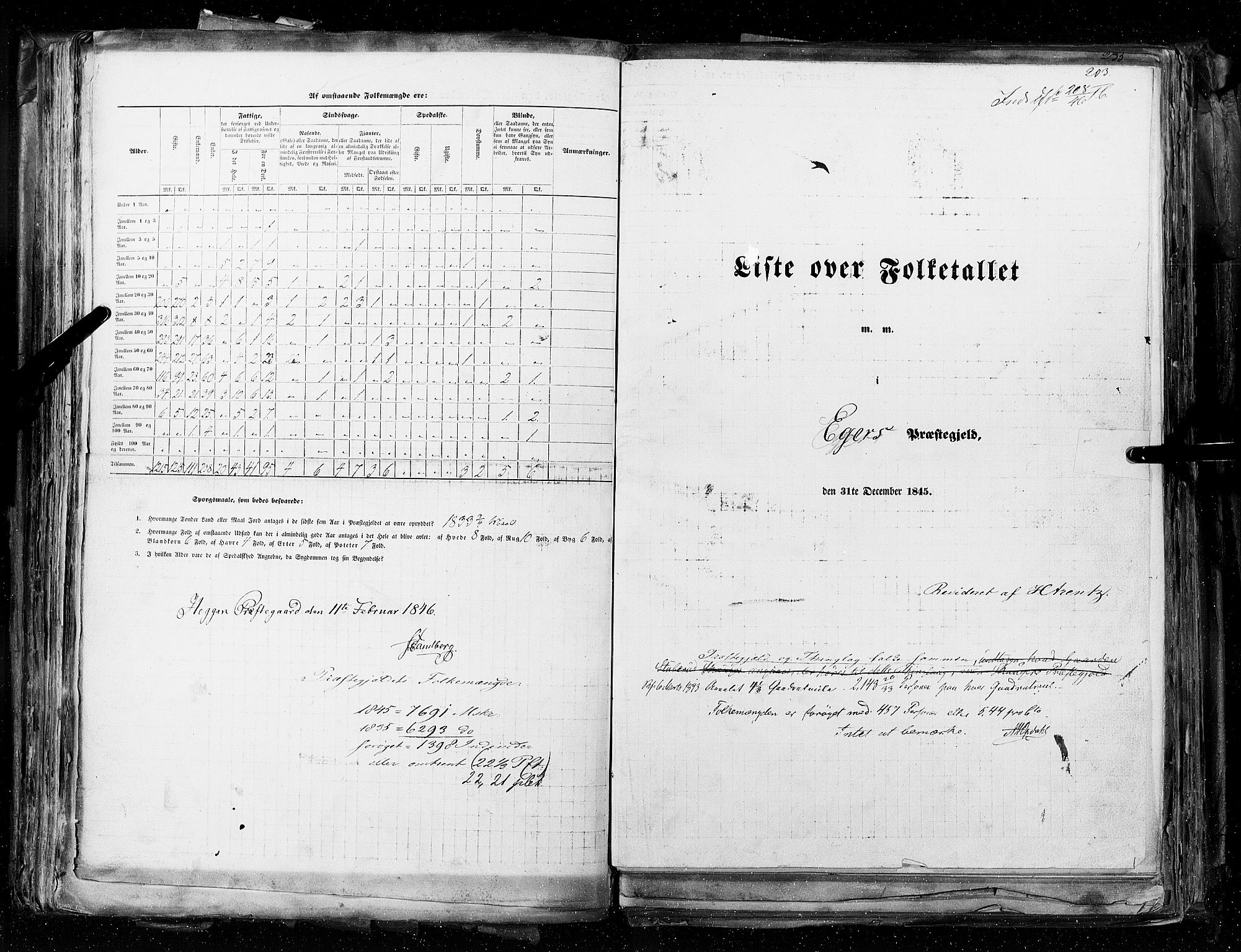 RA, Census 1845, vol. 4: Buskerud amt og Jarlsberg og Larvik amt, 1845, p. 203