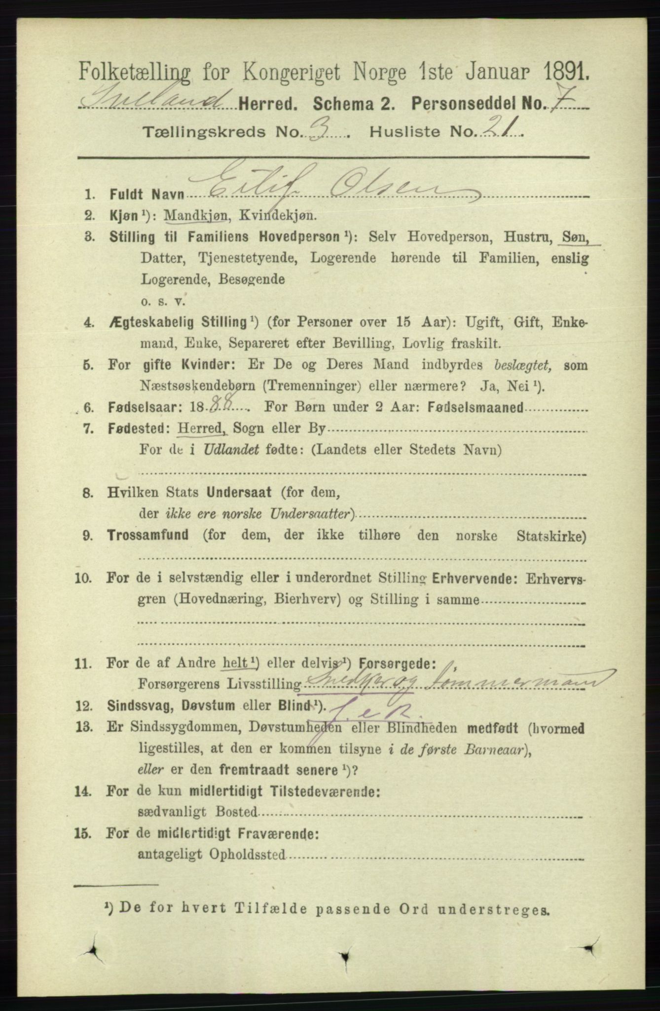 RA, 1891 census for 0935 Iveland, 1891, p. 867