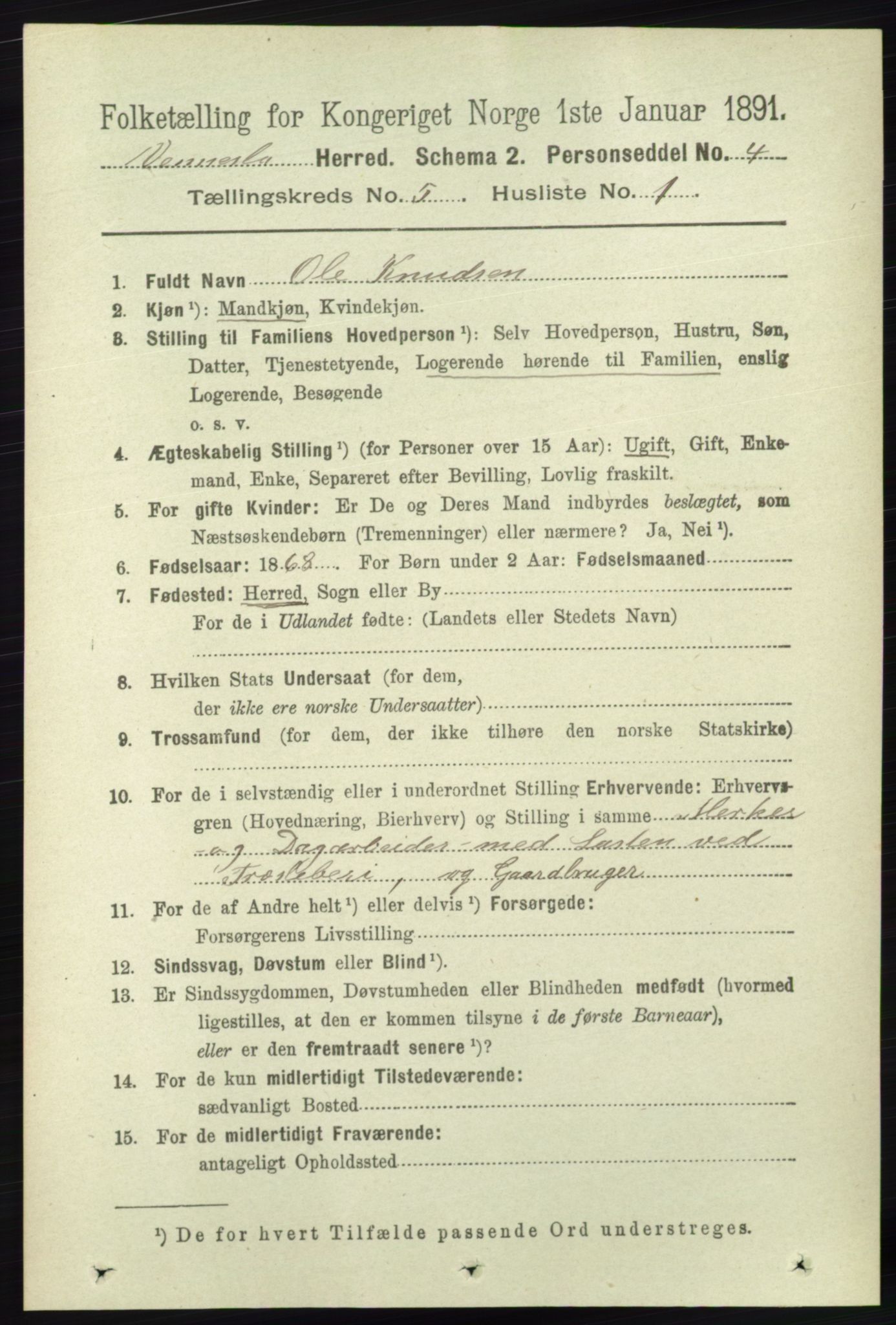 RA, 1891 census for 1014 Vennesla, 1891, p. 1216