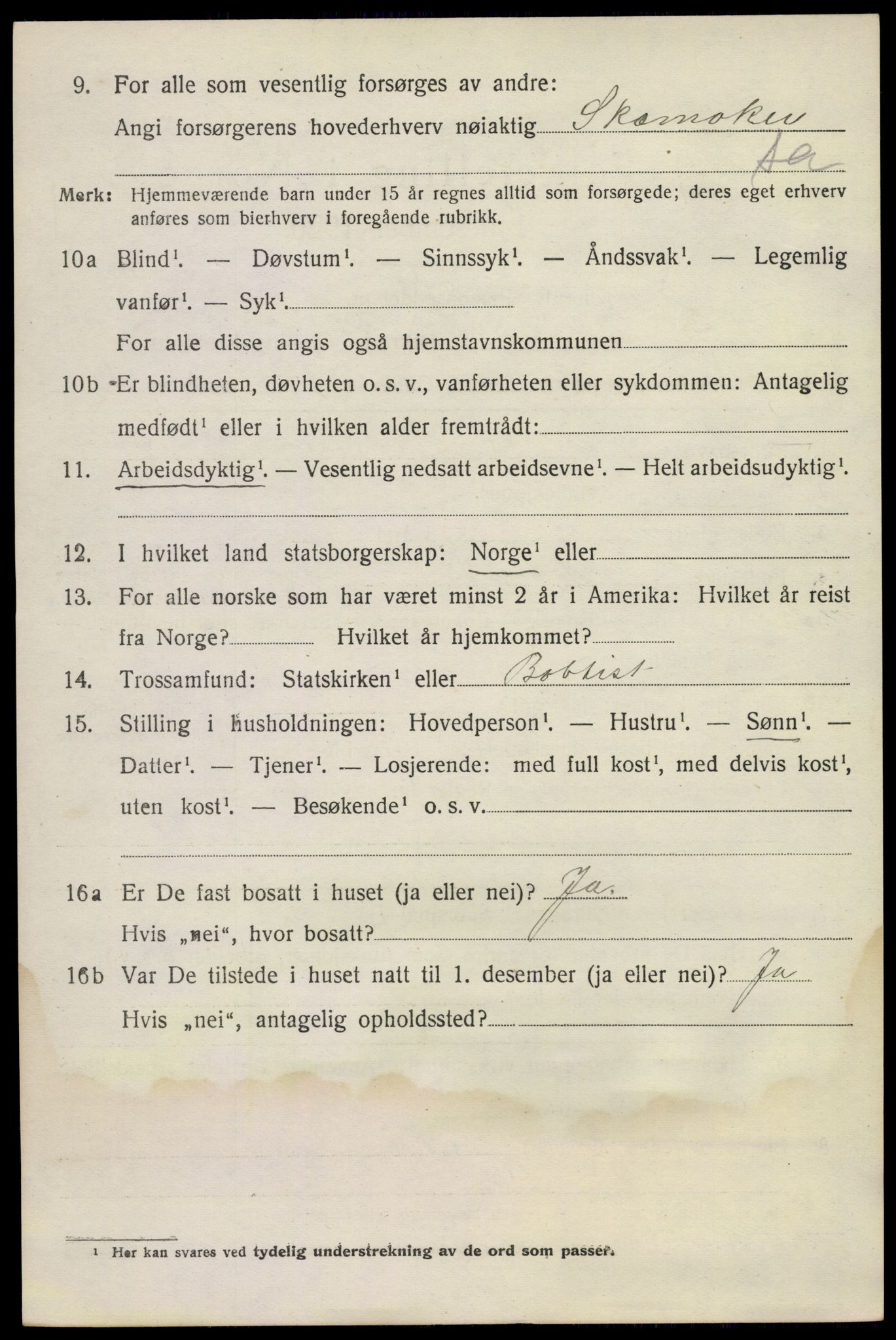 SAKO, 1920 census for Nøtterøy, 1920, p. 15514