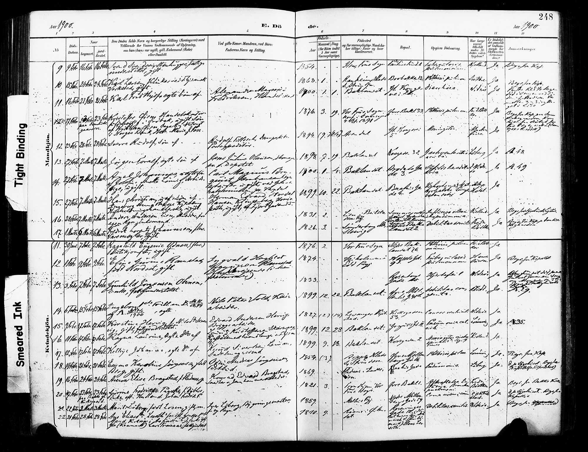 Ministerialprotokoller, klokkerbøker og fødselsregistre - Sør-Trøndelag, SAT/A-1456/604/L0198: Parish register (official) no. 604A19, 1893-1900, p. 248