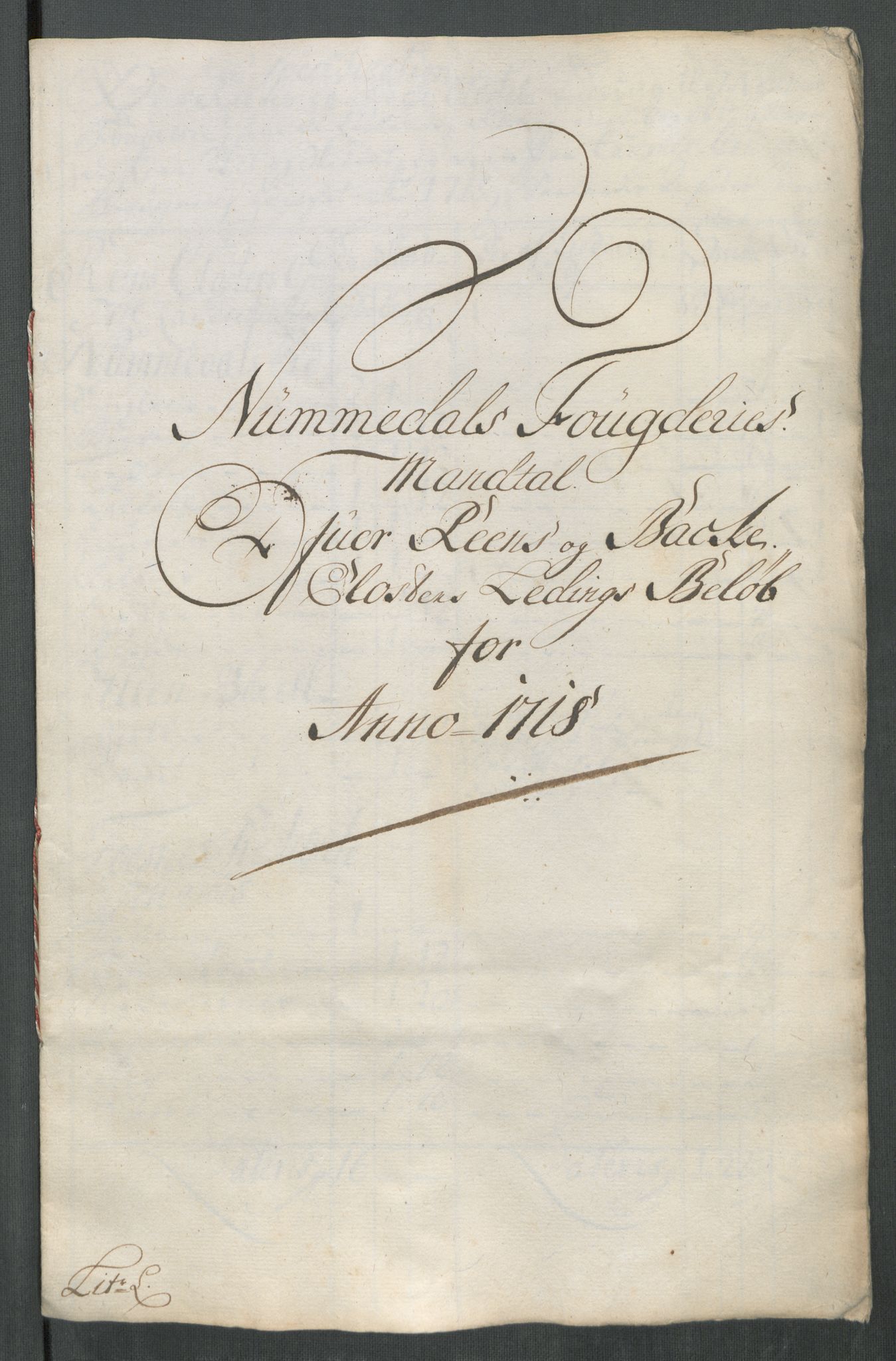 Rentekammeret inntil 1814, Reviderte regnskaper, Fogderegnskap, RA/EA-4092/R64/L4439: Fogderegnskap Namdal, 1718, p. 235