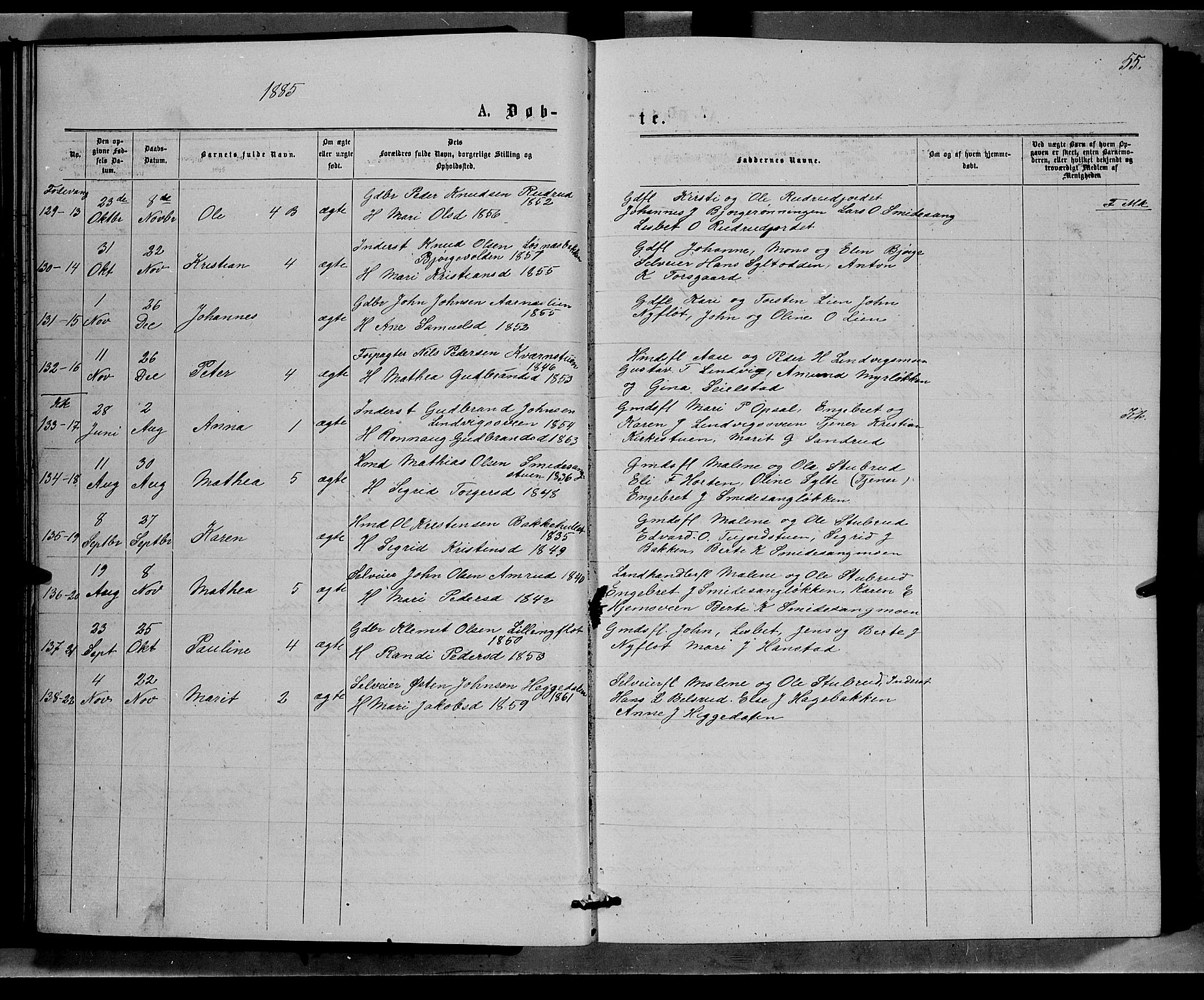 Ringebu prestekontor, SAH/PREST-082/H/Ha/Hab/L0006: Parish register (copy) no. 6, 1880-1898, p. 55