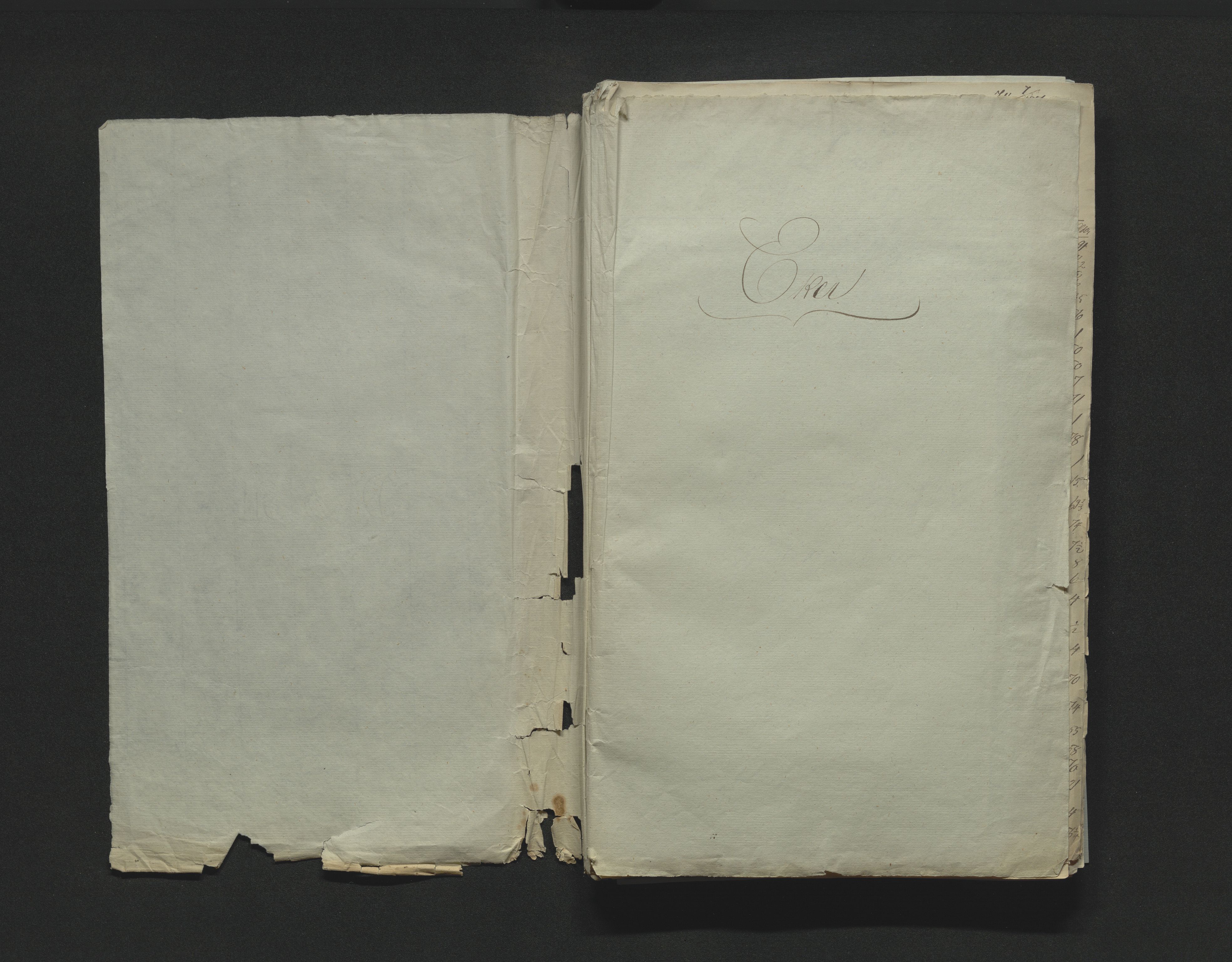Eiker, Modum og Sigdal sorenskriveri, AV/SAKO-A-123/H/Ha/Hab/L0008: Dødsfallsmeldinger, 1850-1853